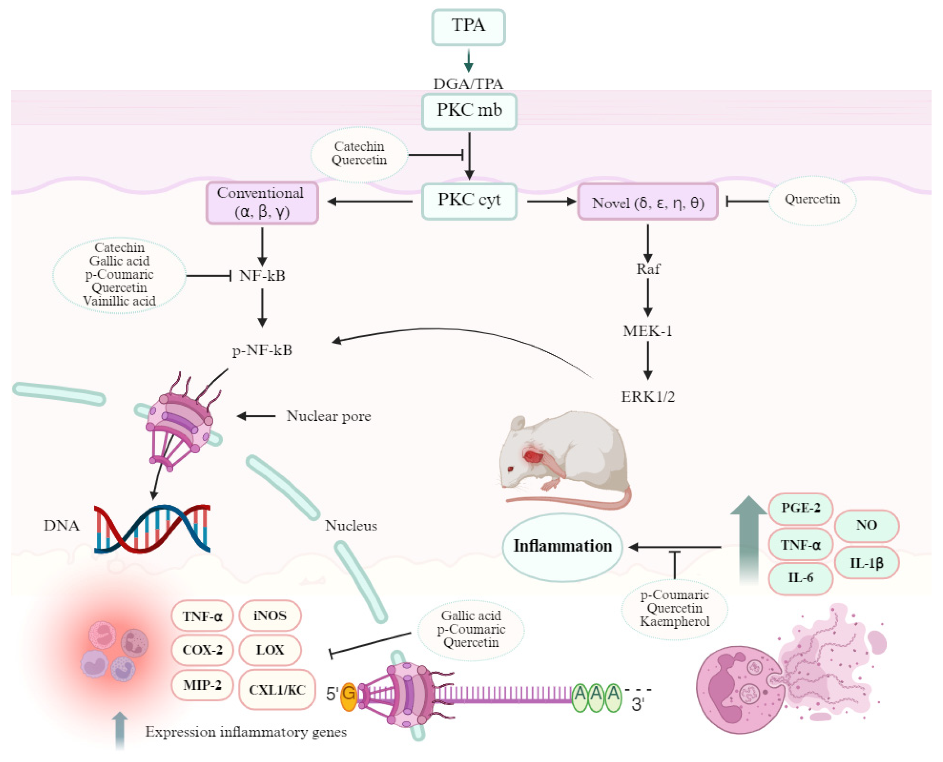 Metabolites 15 00665 g004 Metabolites 15 00665 g004