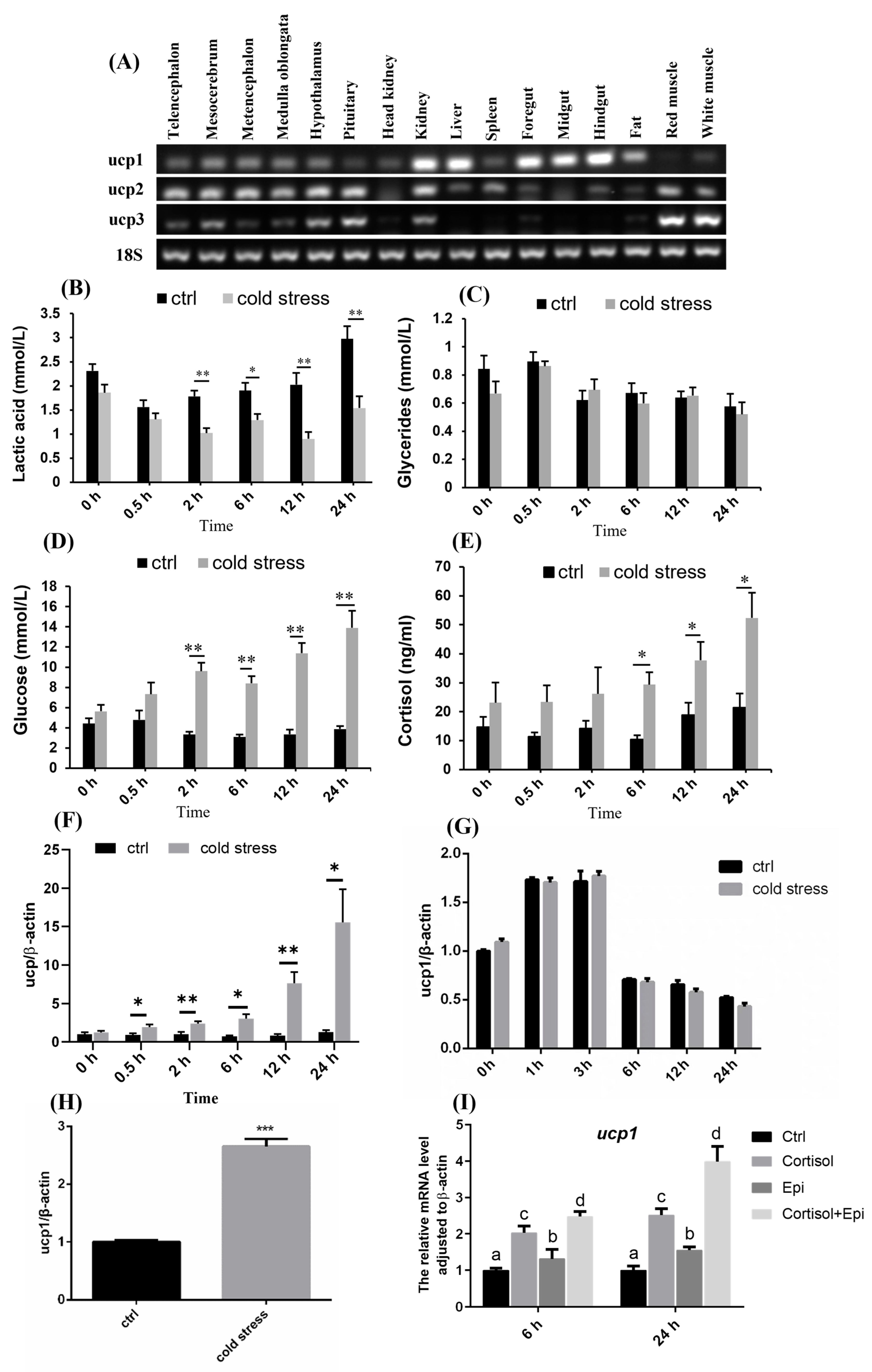 Metabolites 15 00668 g001
