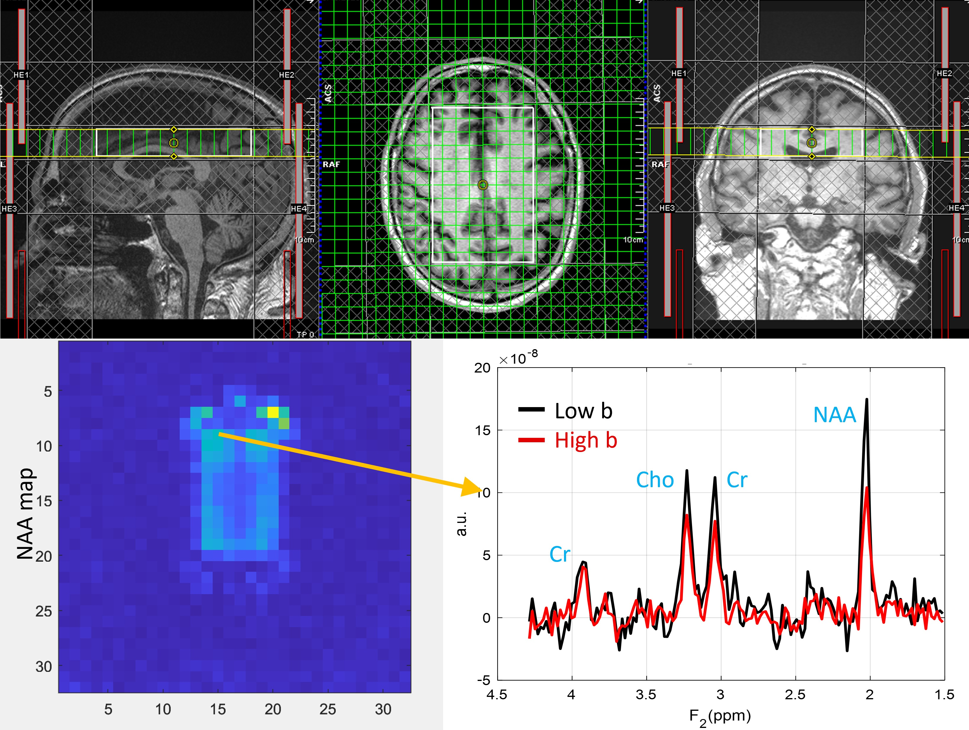 Metabolites 15 00669 g001 Metabolites 15 00669 g001