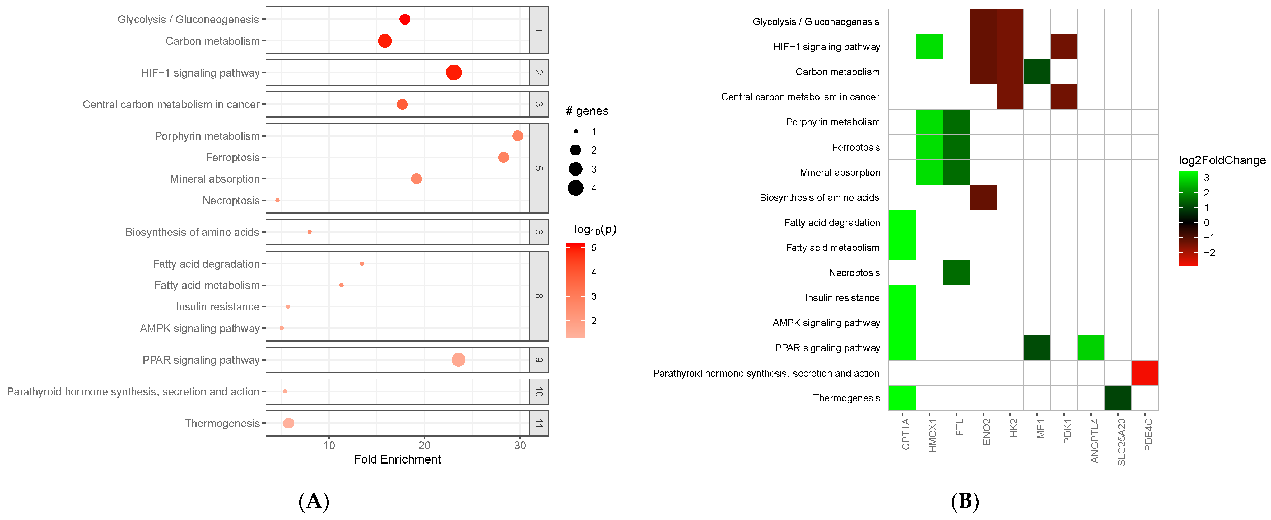 Metabolites 15 00670 g003 Metabolites 15 00670 g003