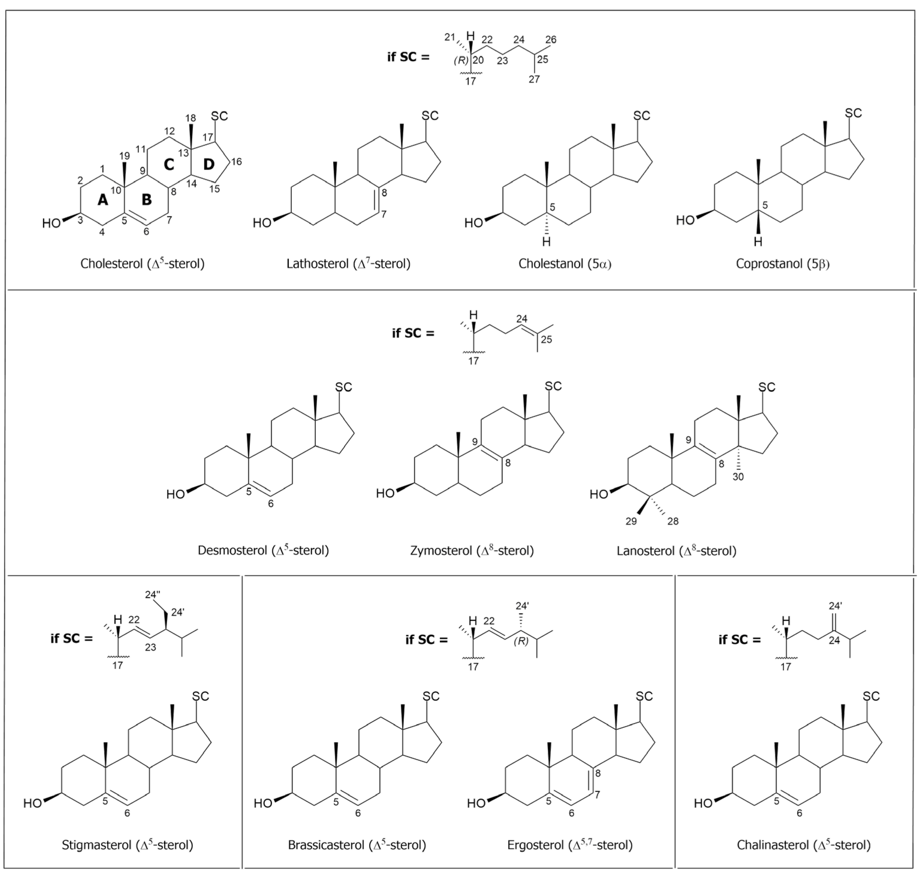 Metabolites 15 00674 g001