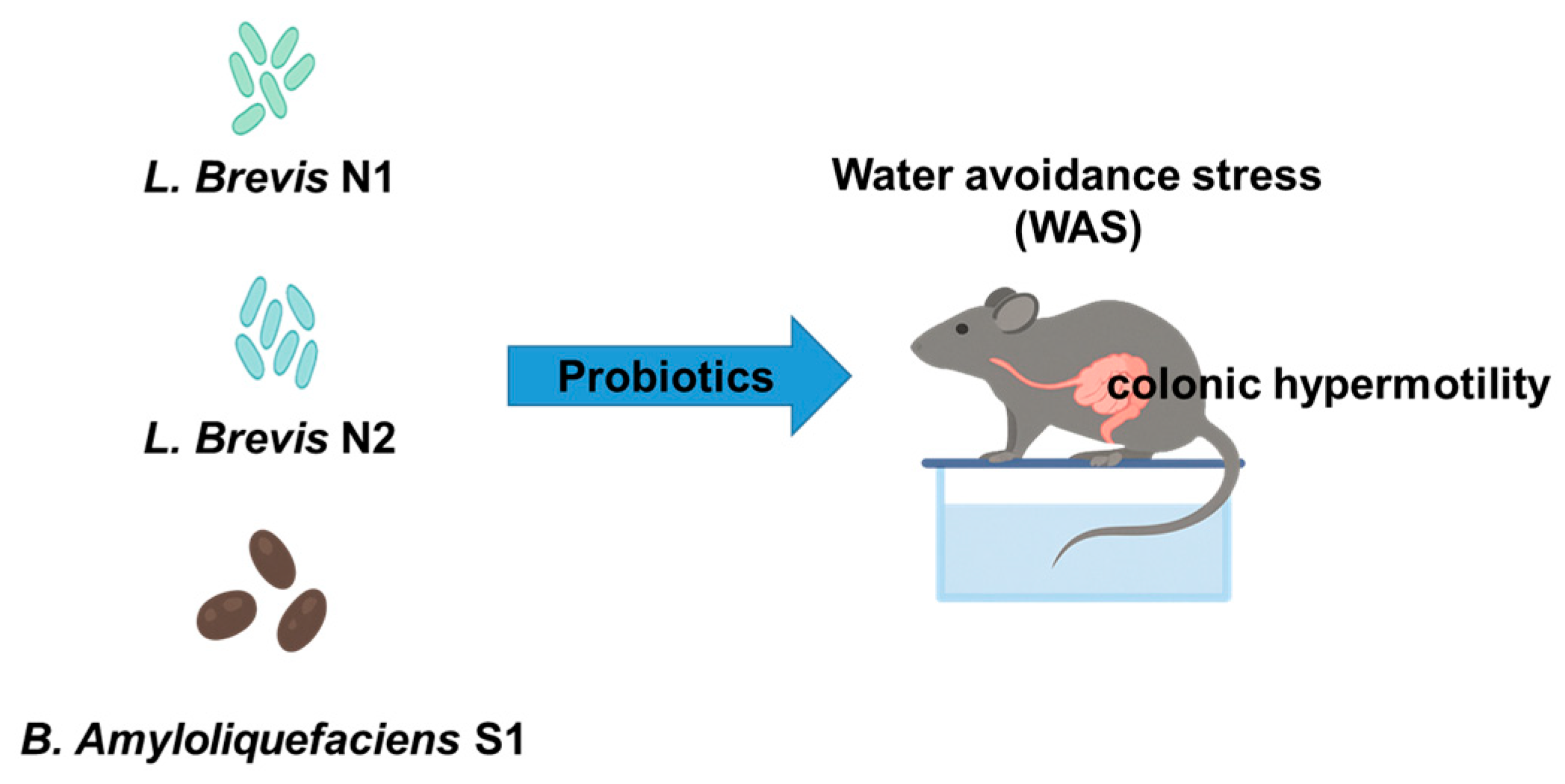 Metabolites 15 00677 g001 Metabolites 15 00677 g001