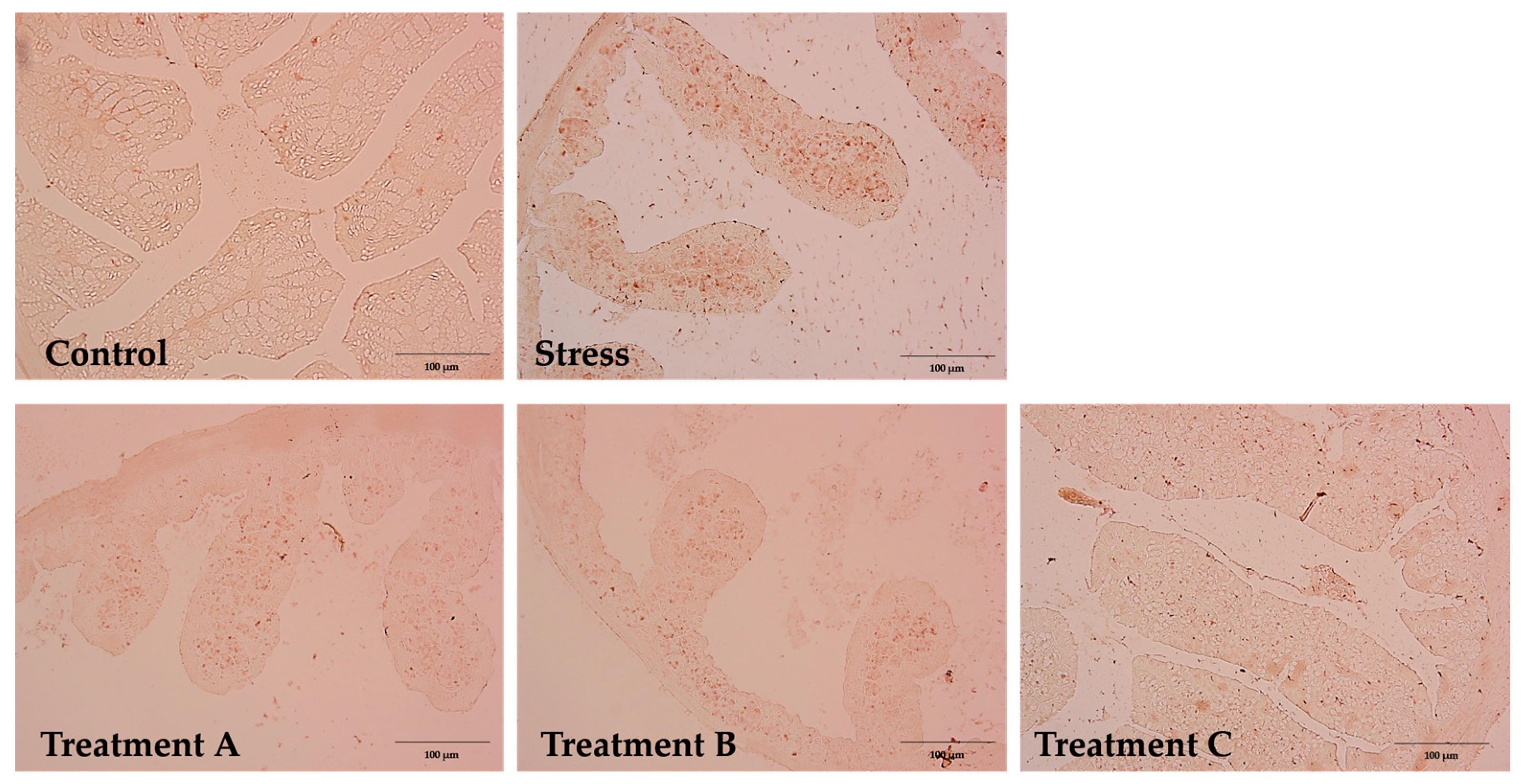Metabolites 15 00677 g010 Metabolites 15 00677 g010