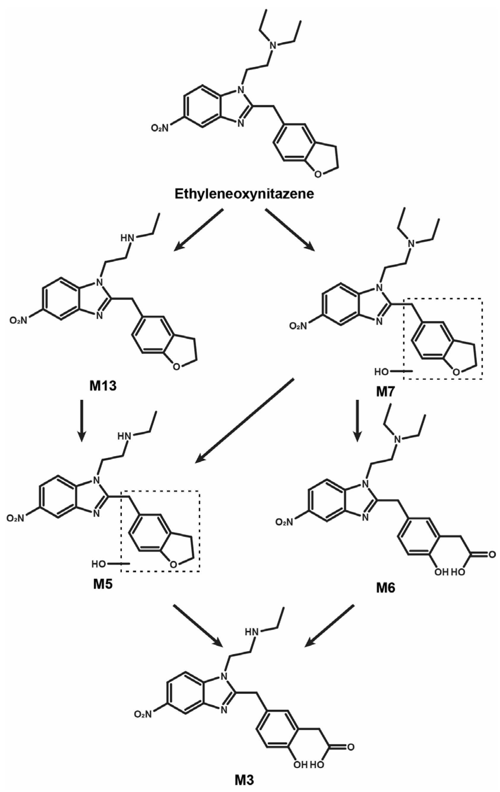 Metabolites 15 00679 g004 Metabolites 15 00679 g004