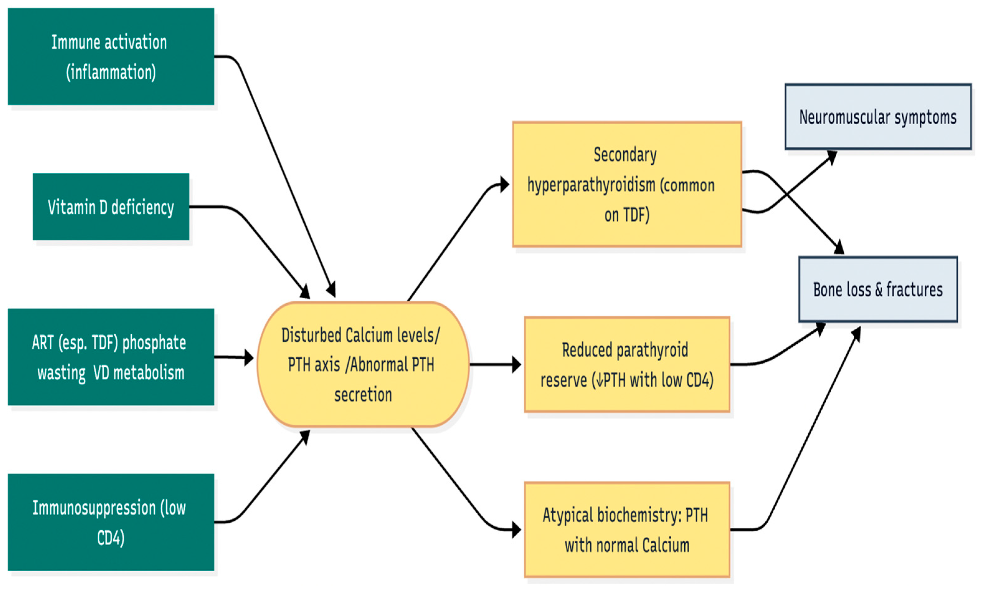 Metabolites 15 00704 g003
