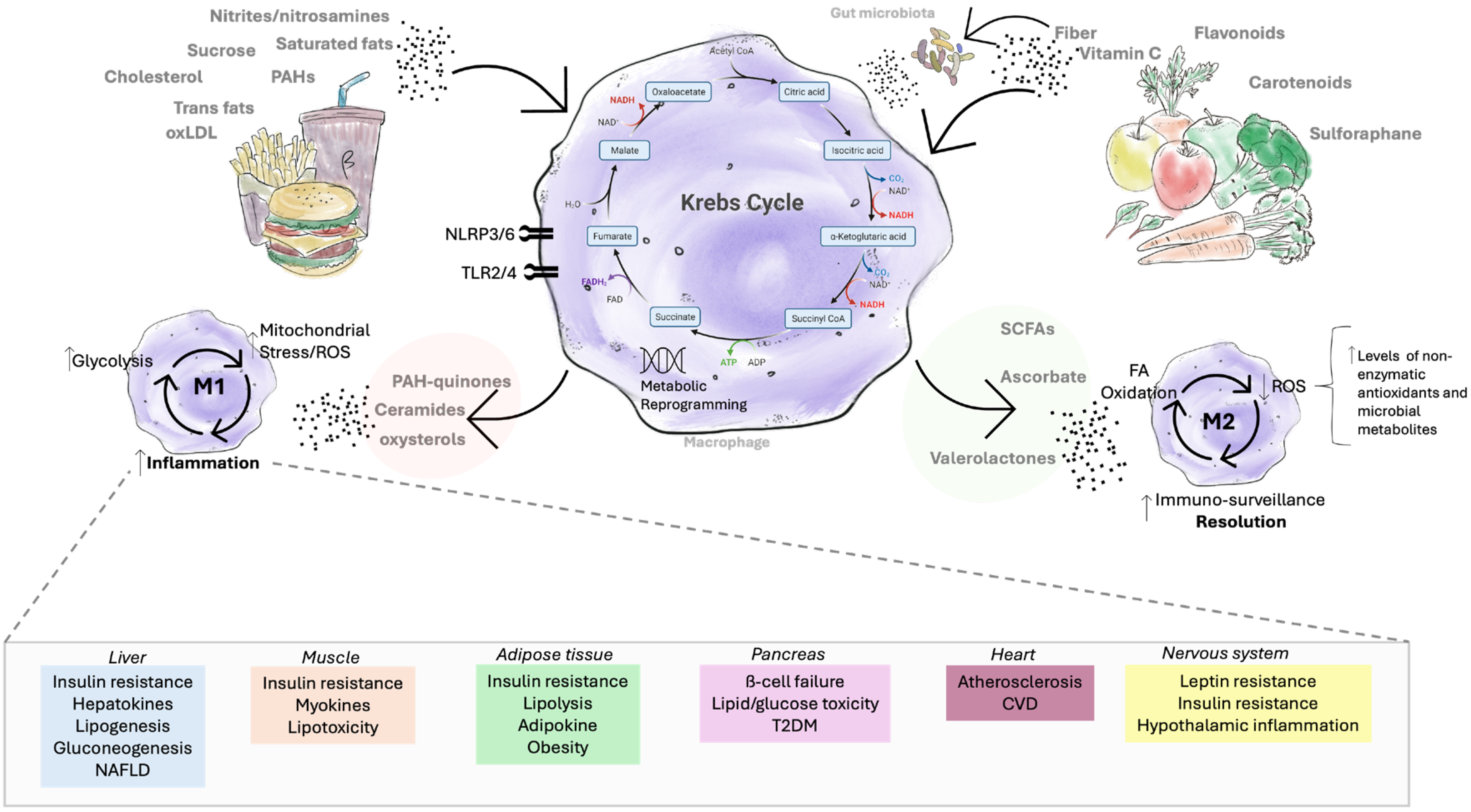 Metabolites 15 00705 g003