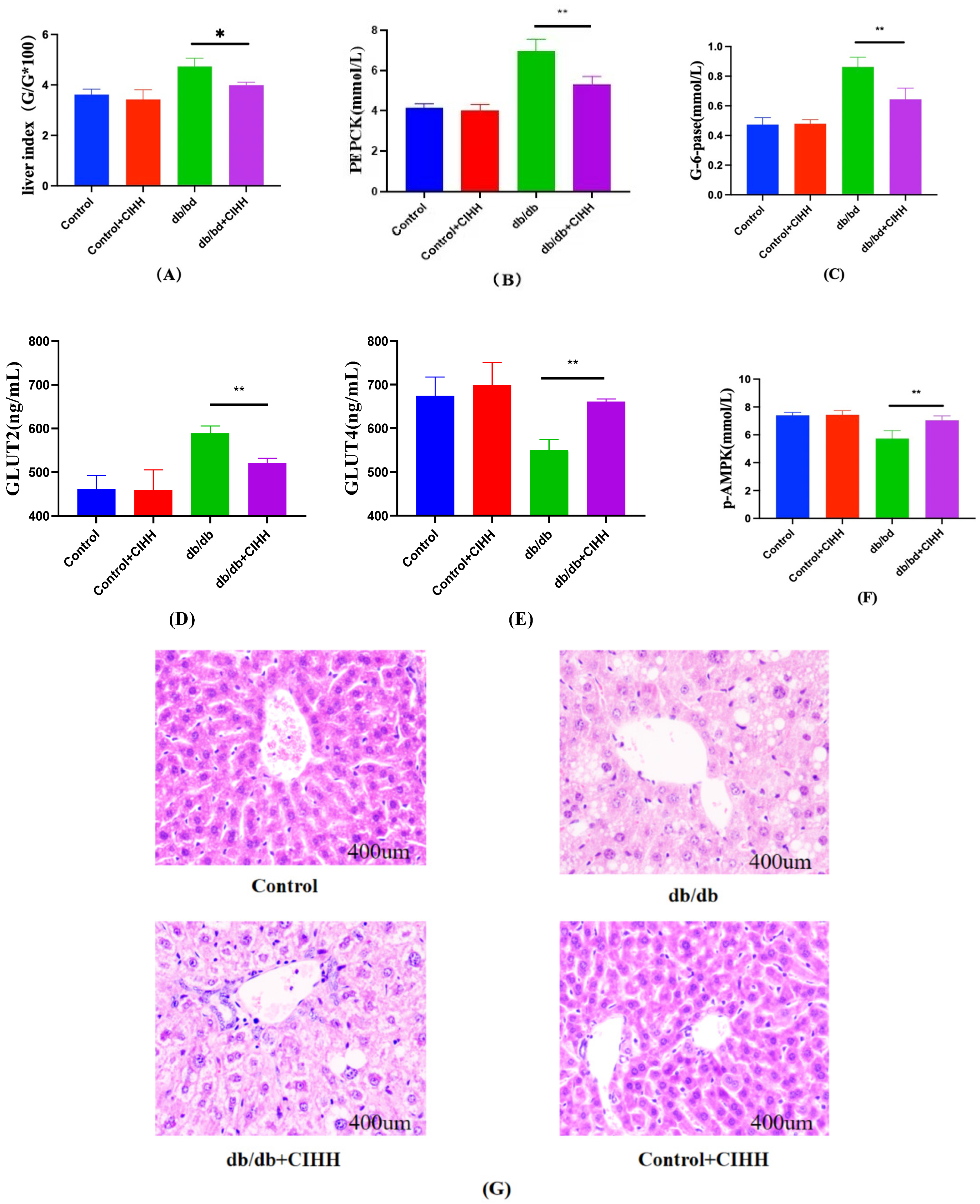 Metabolites 15 00707 g002 Metabolites 15 00707 g002