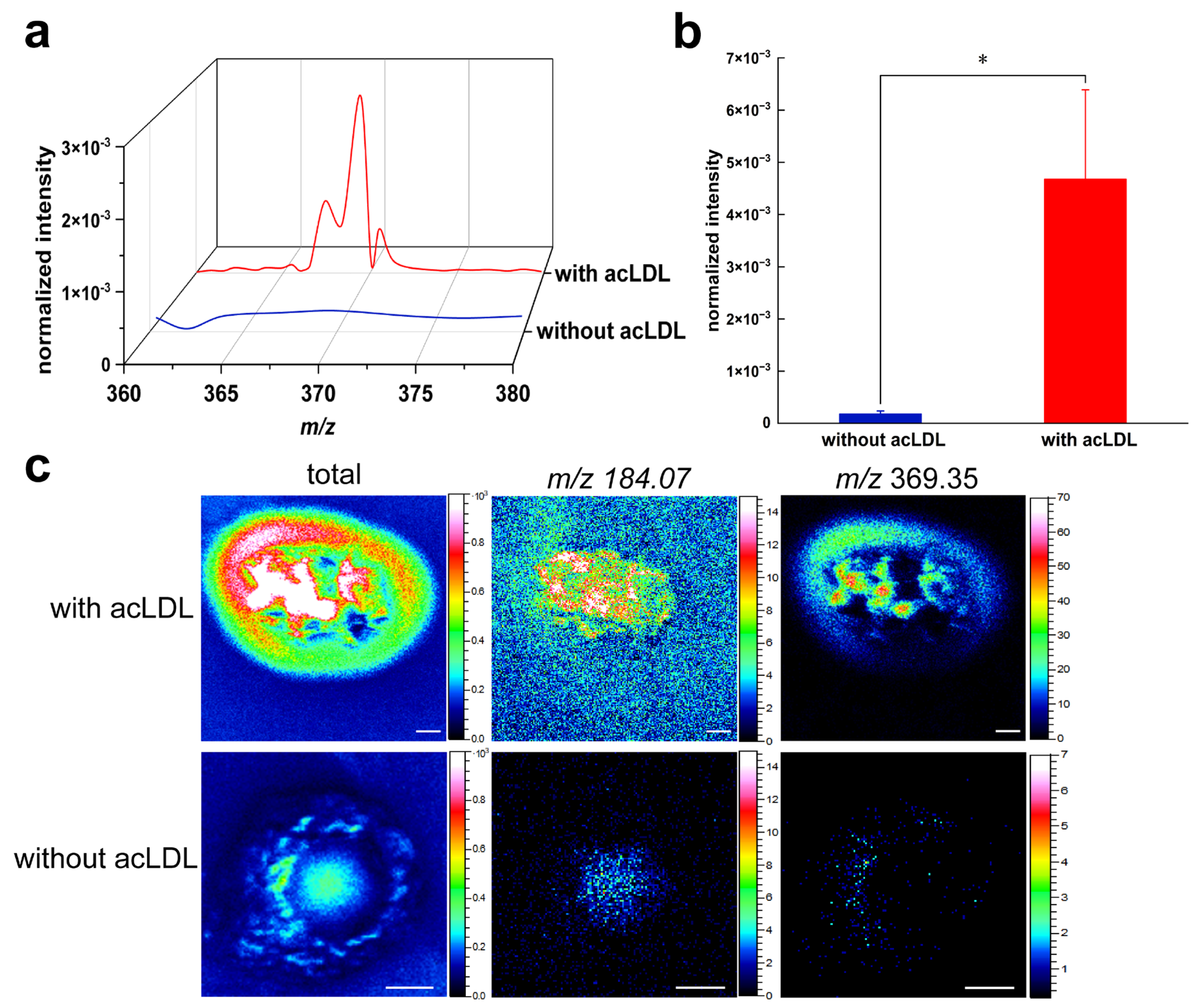 Metabolites 15 00722 g002 Metabolites 15 00722 g002