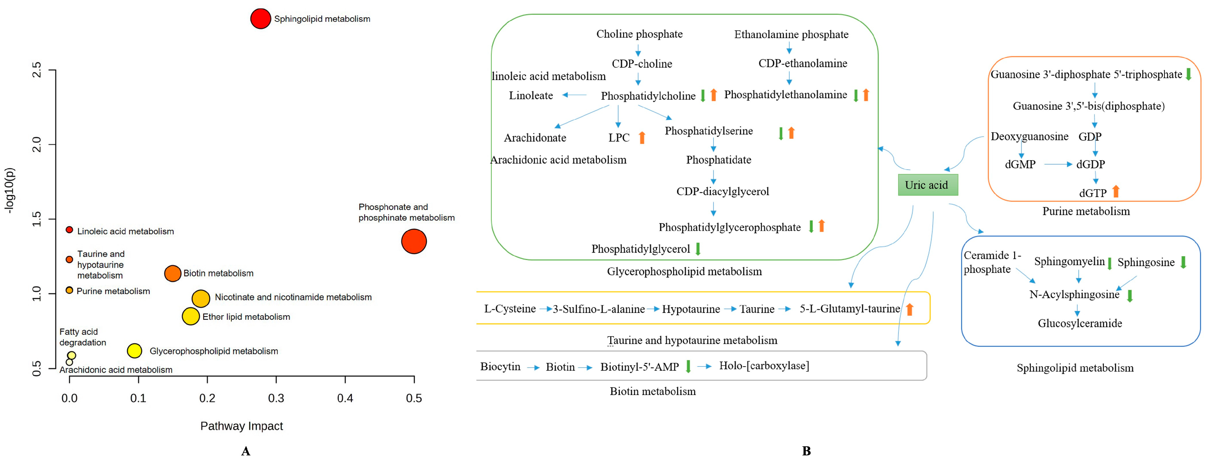 Metabolites 15 00727 g005 Metabolites 15 00727 g005