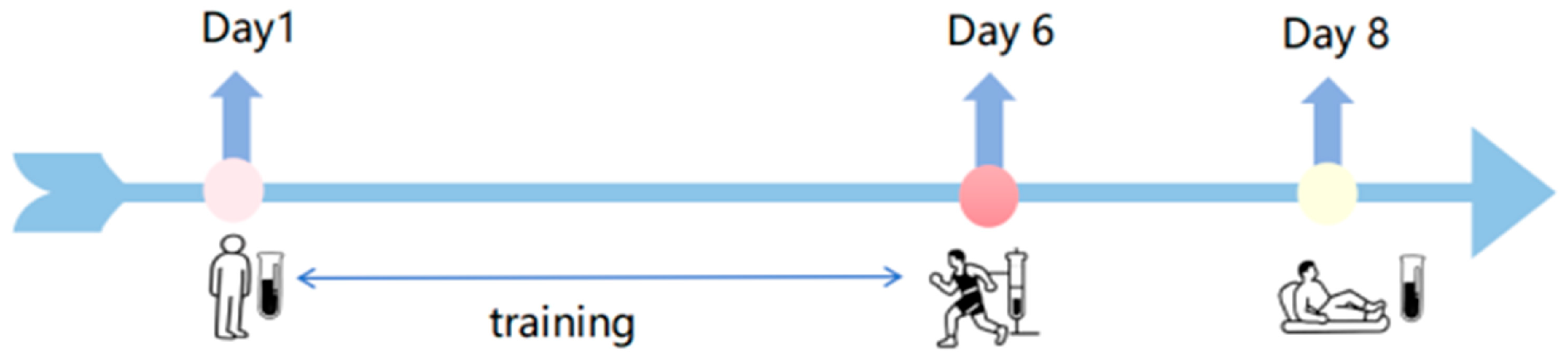Metabolites 15 00737 g001