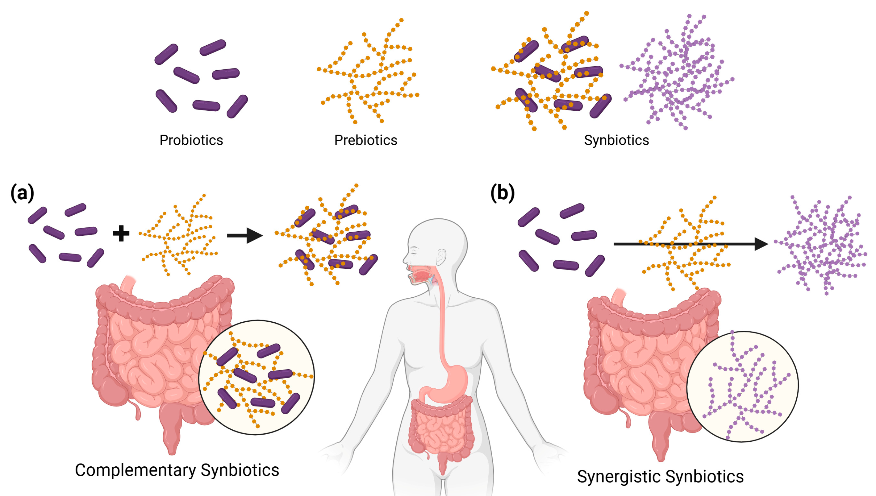 Metabolites 15 00744 g001