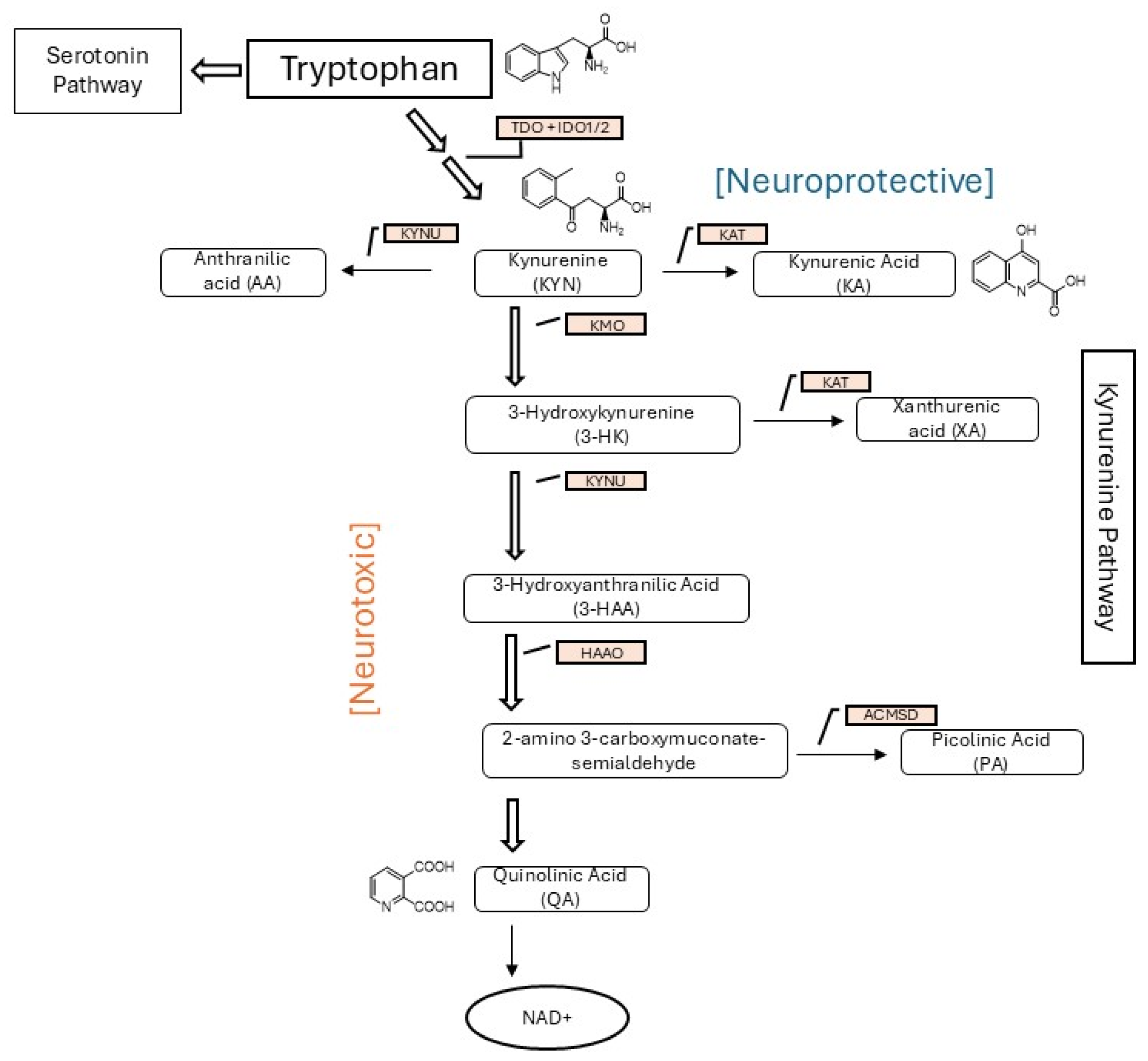Metabolites 15 00749 g001 Metabolites 15 00749 g001