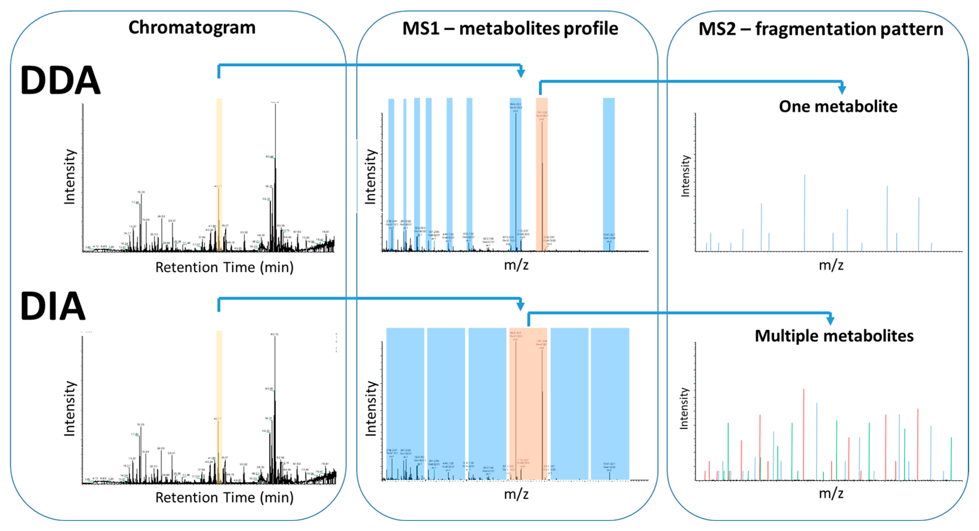 Metabolites 15 00750 g007