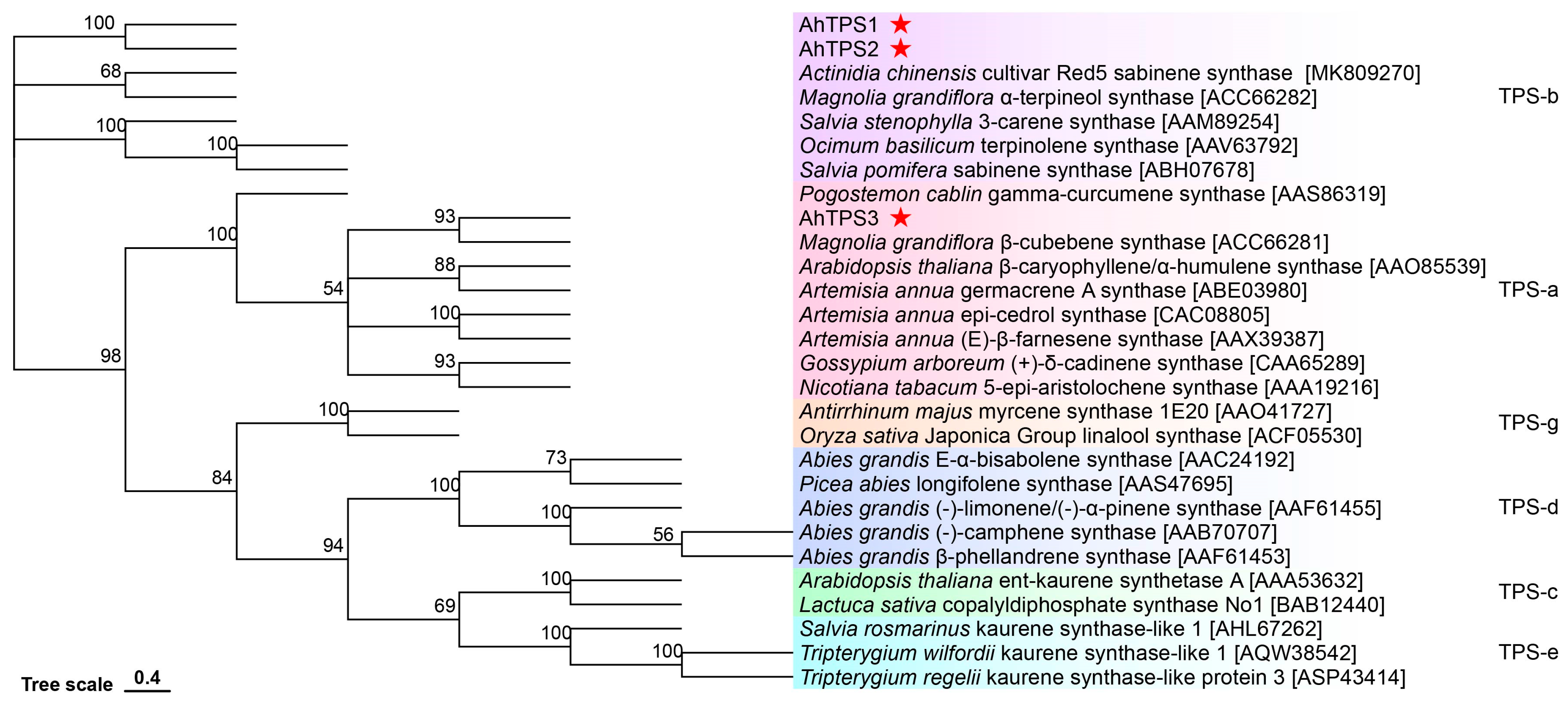 Metabolites 15 00753 g003