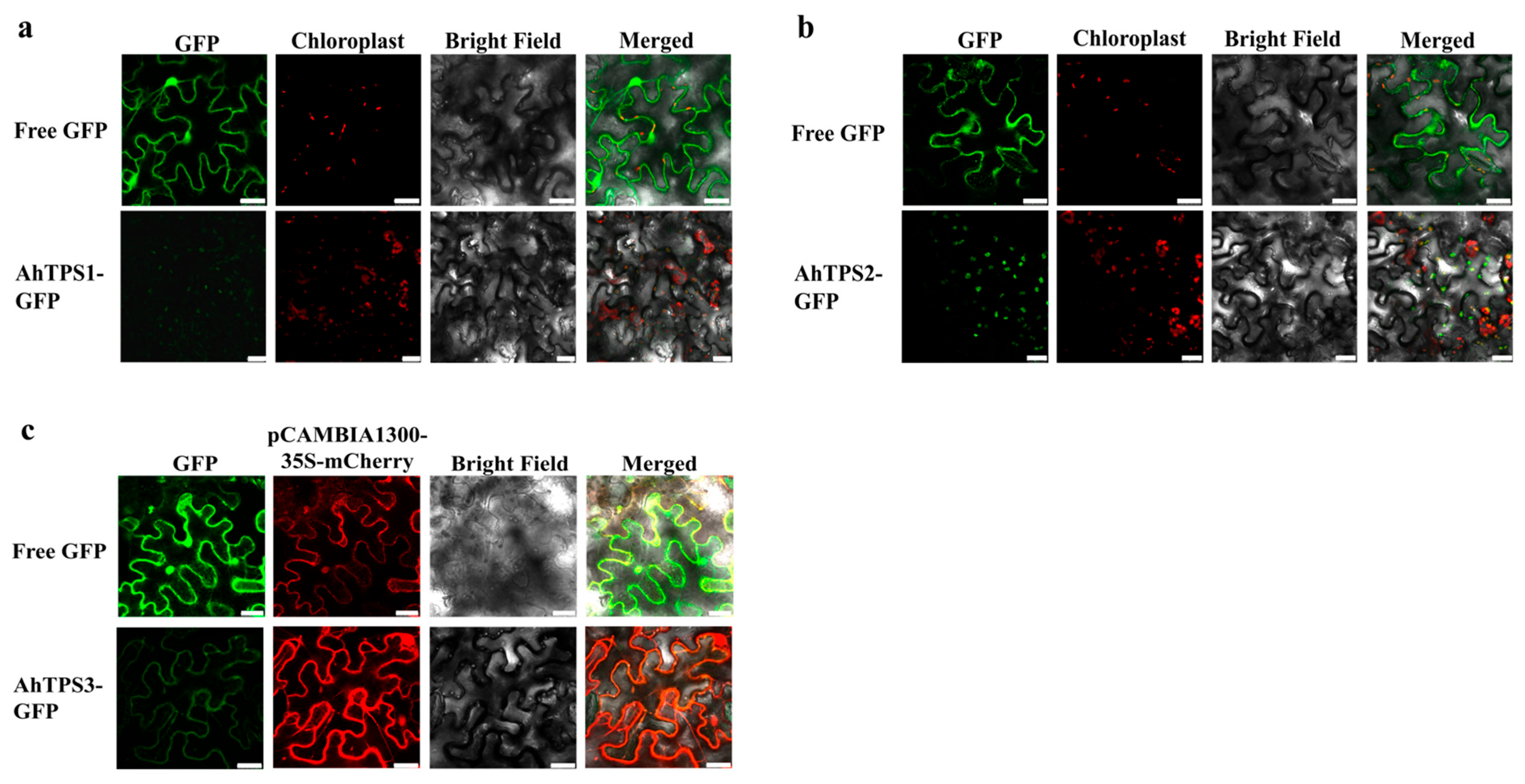Metabolites 15 00753 g008