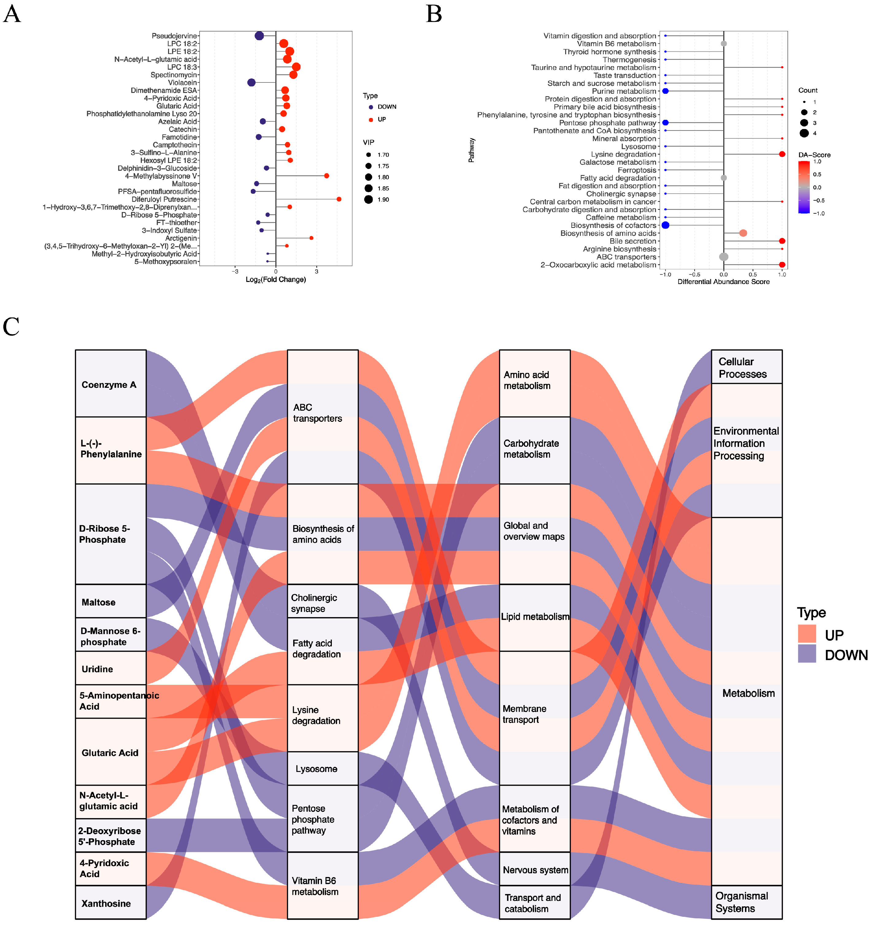 Metabolites 15 00761 g004