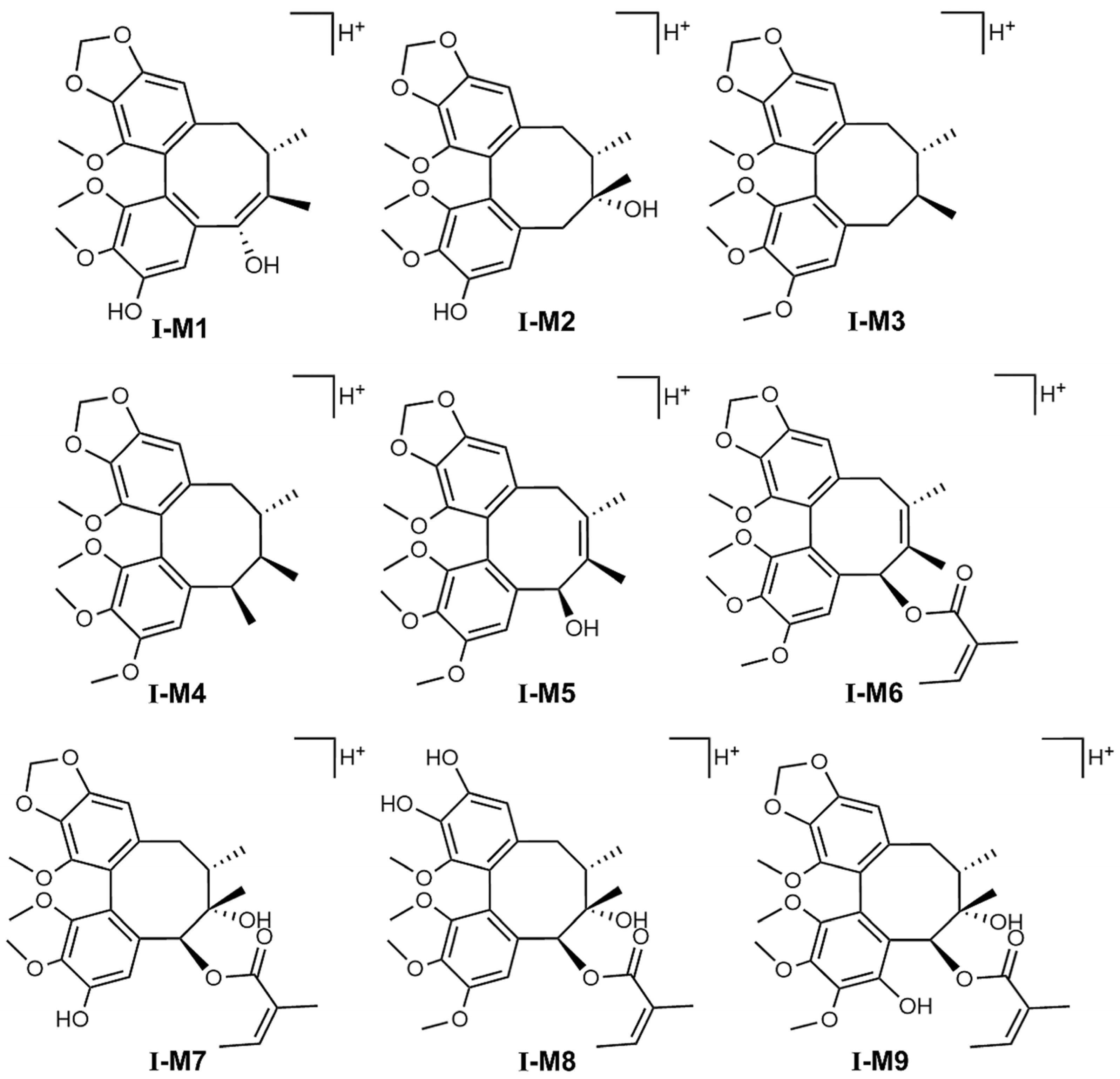 Metabolites 15 00763 g007