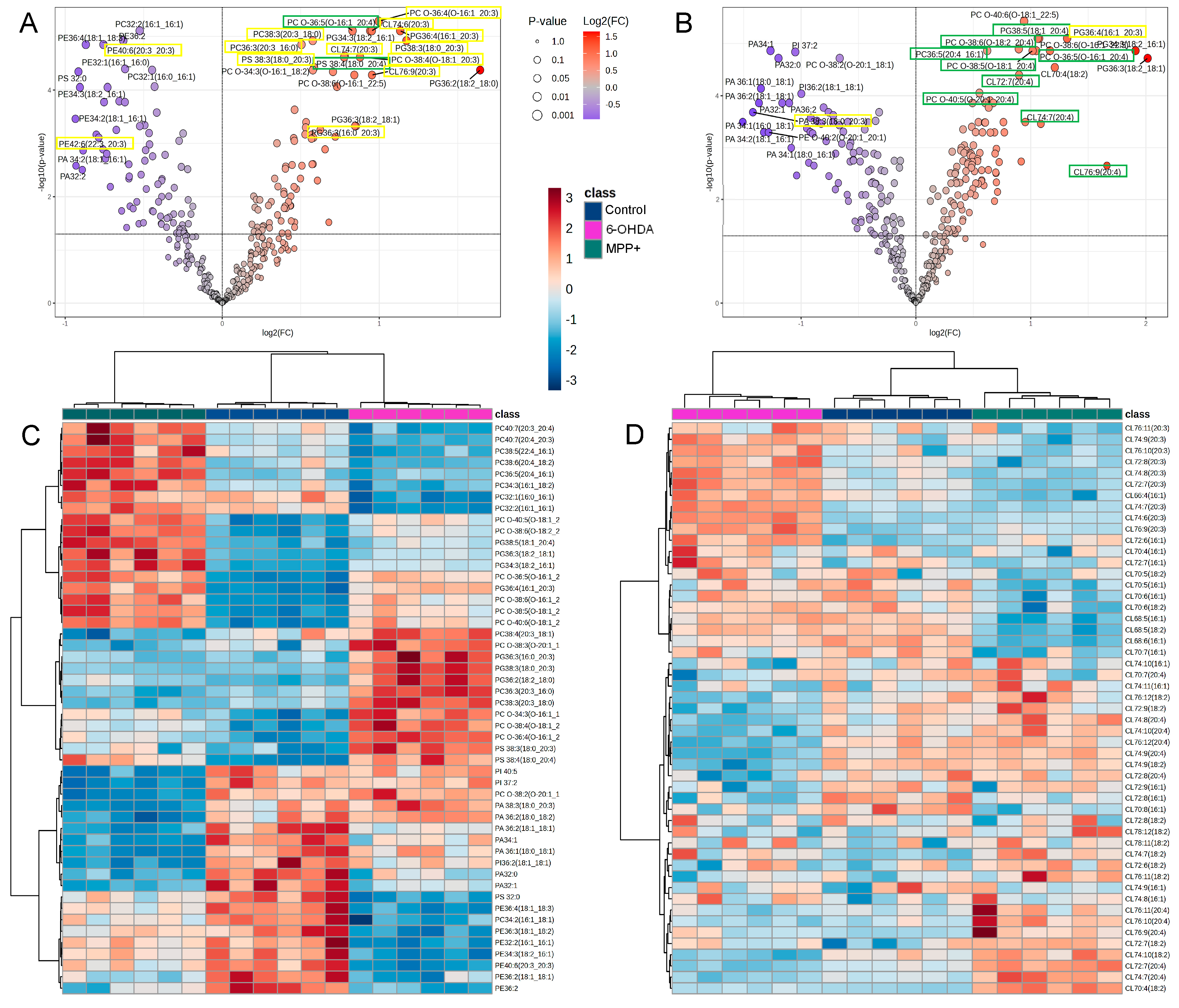 Metabolites 15 00781 g004 Metabolites 15 00781 g004