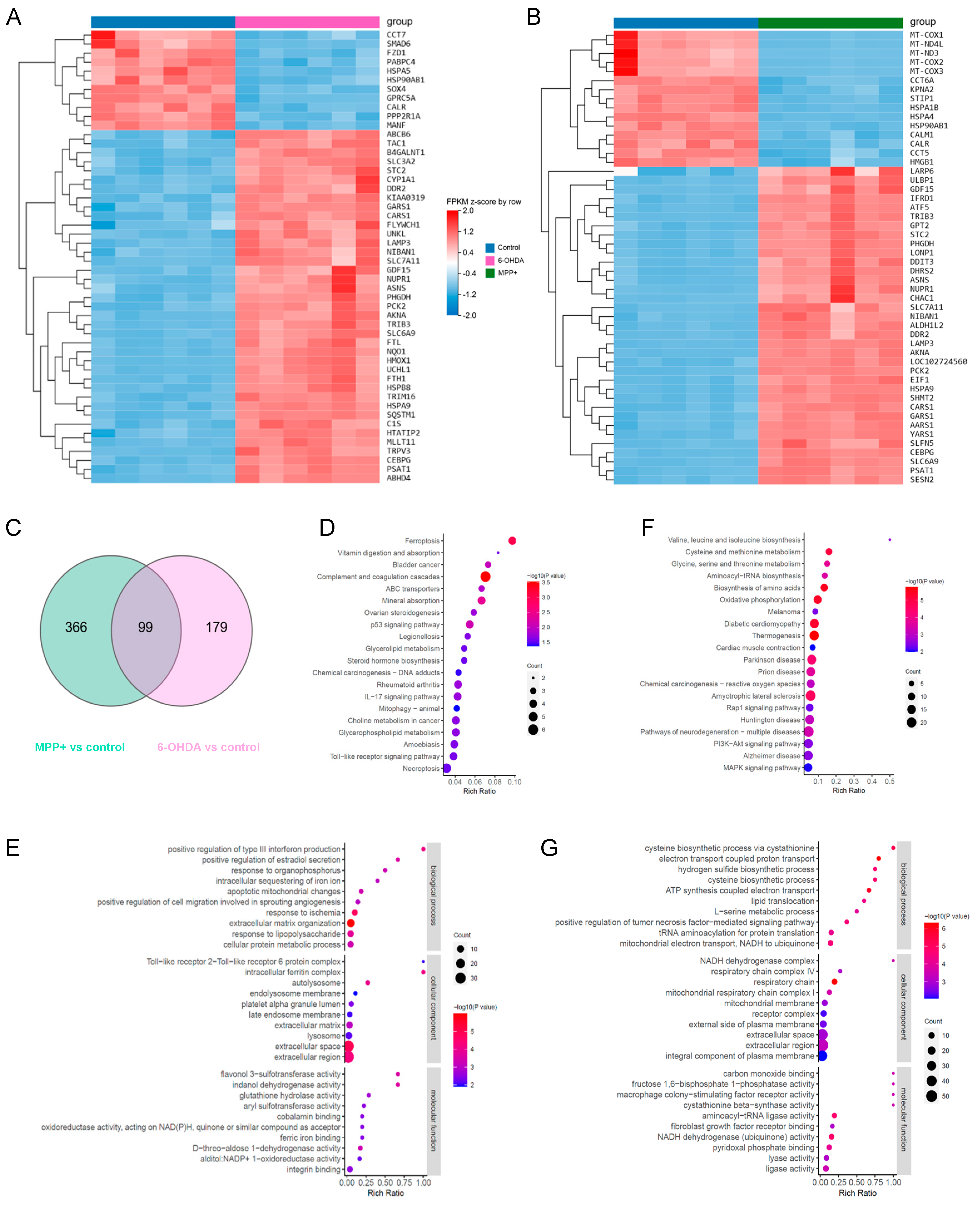 Metabolites 15 00781 g005 Metabolites 15 00781 g005