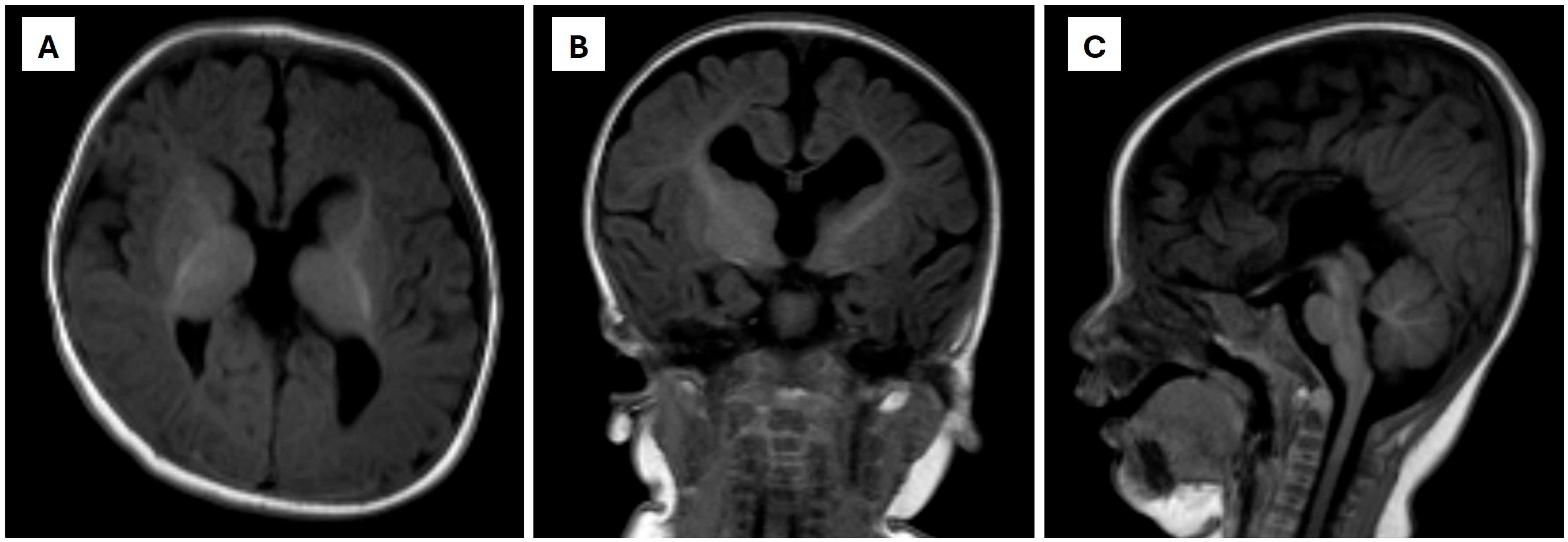 Metabolites 15 00786 g001 Metabolites 15 00786 g001