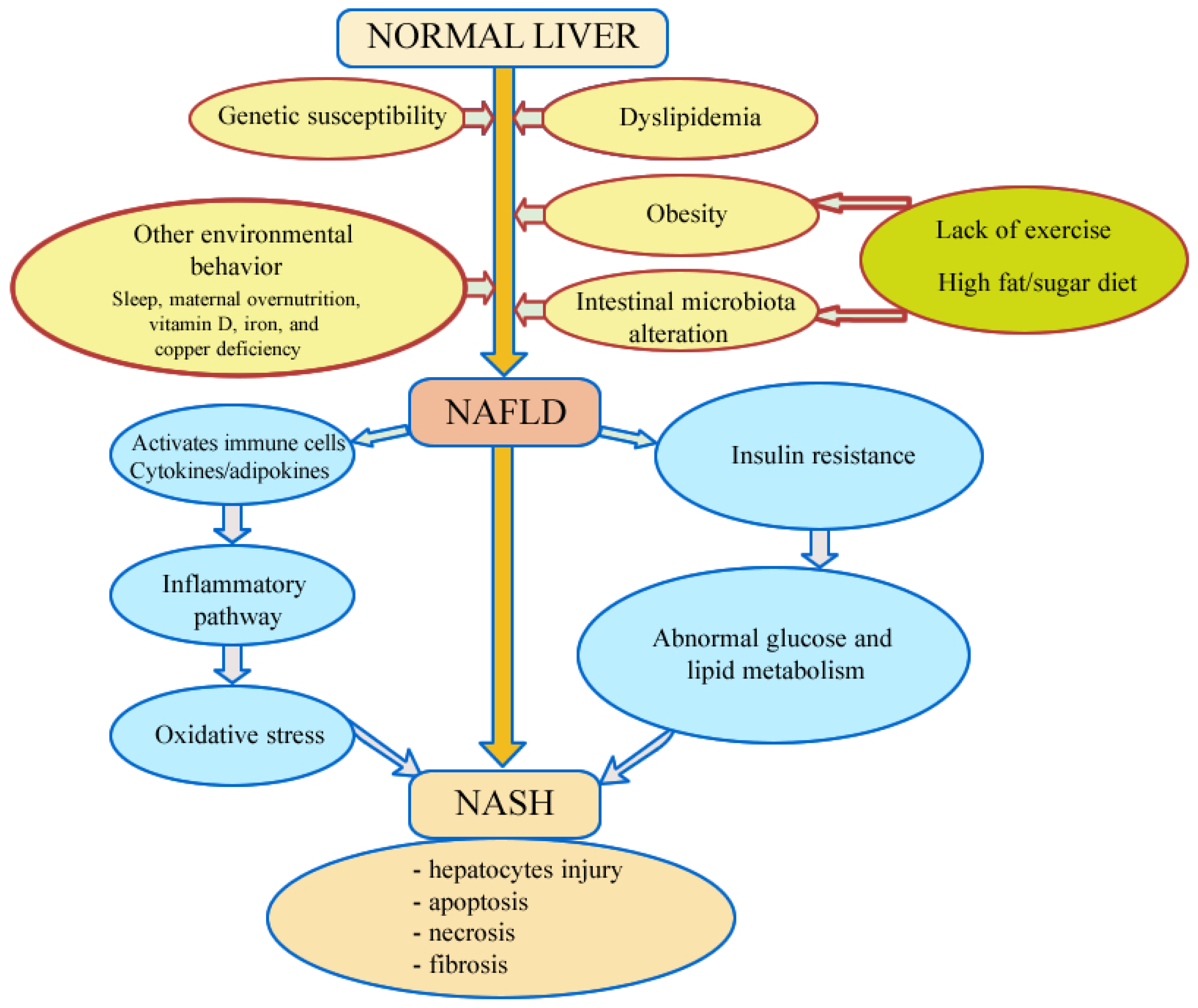 Metabolites 15 00792 g002 Metabolites 15 00792 g002