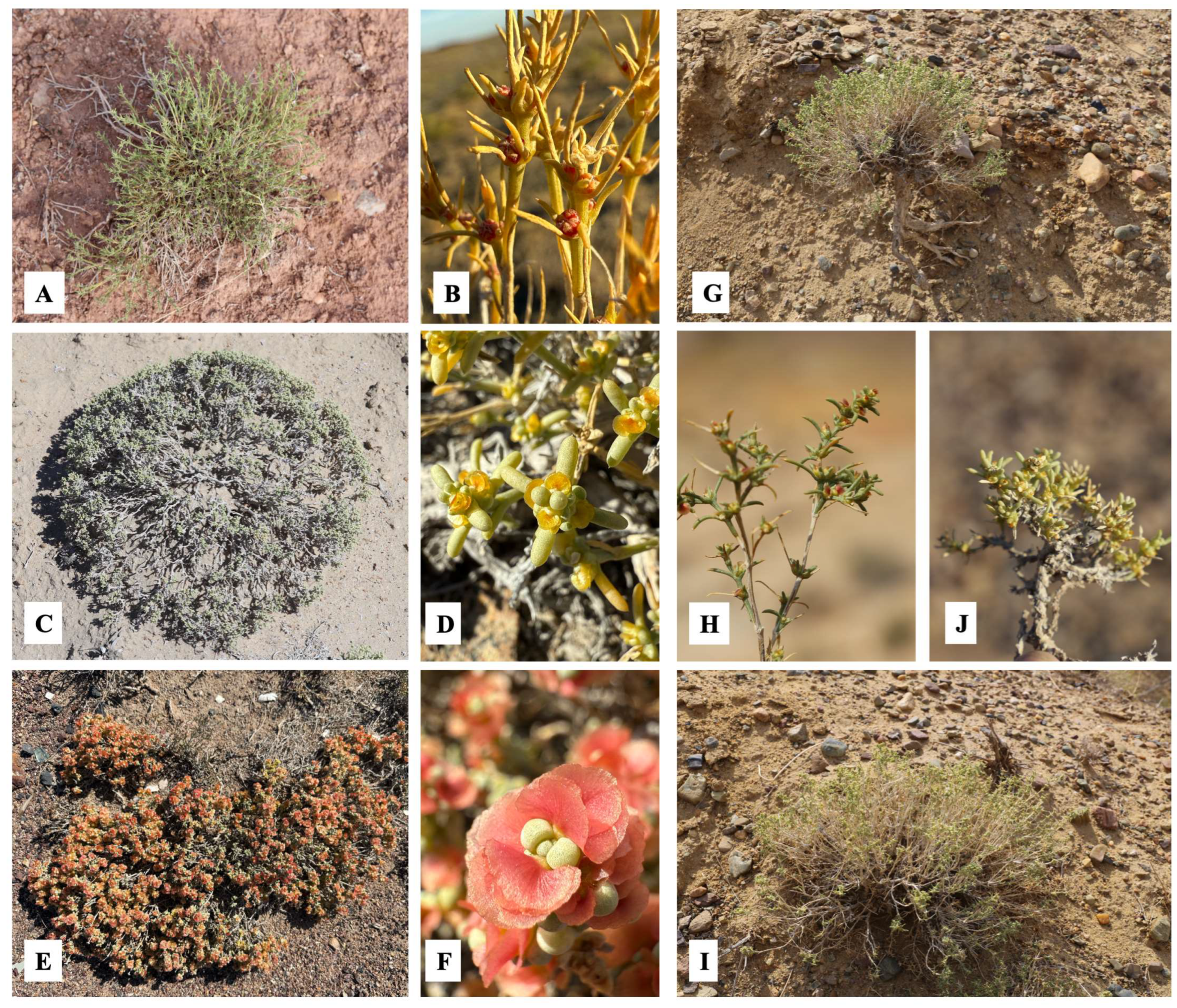 Metabolites 15 00800 g003