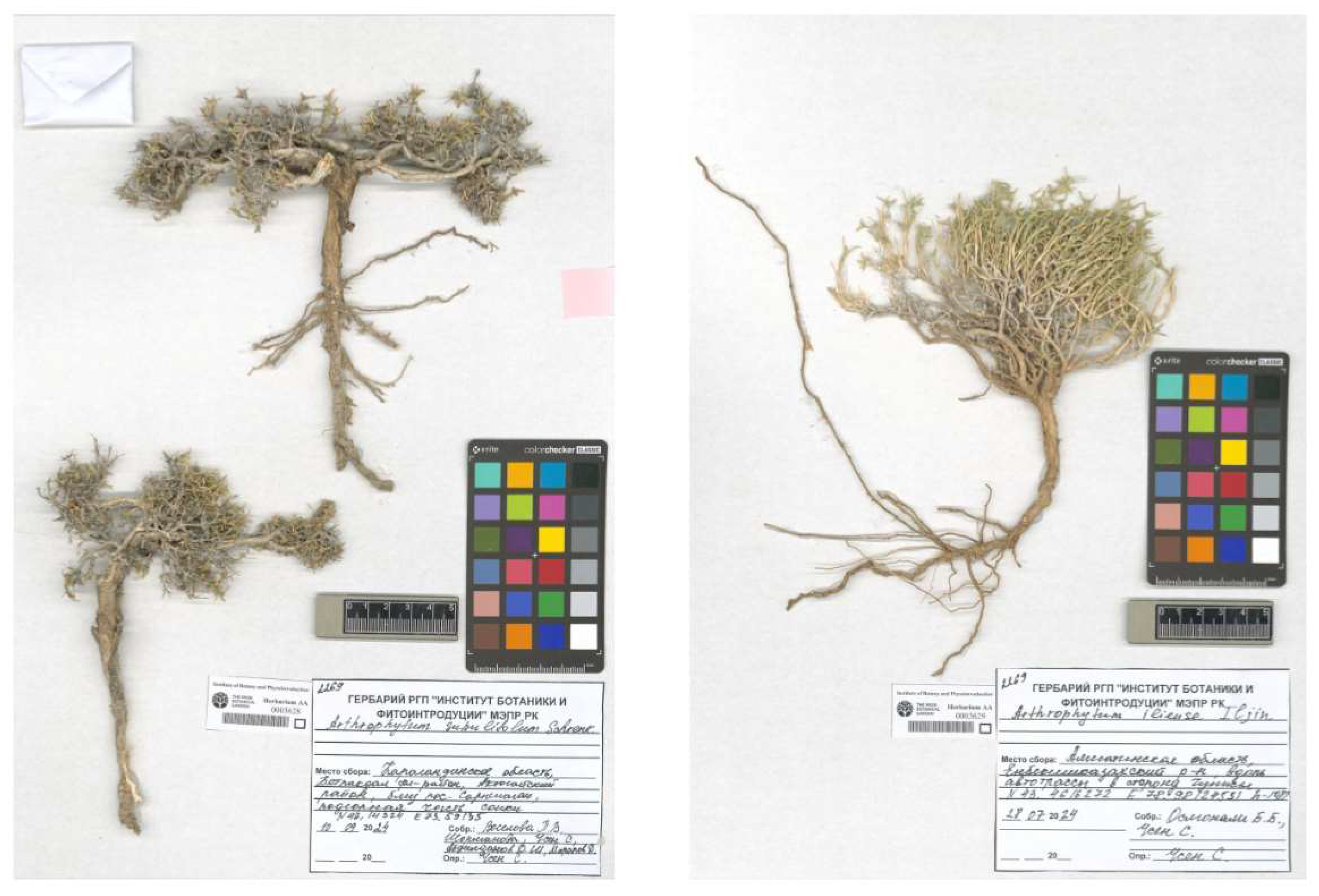 Metabolites 15 00800 g0a1