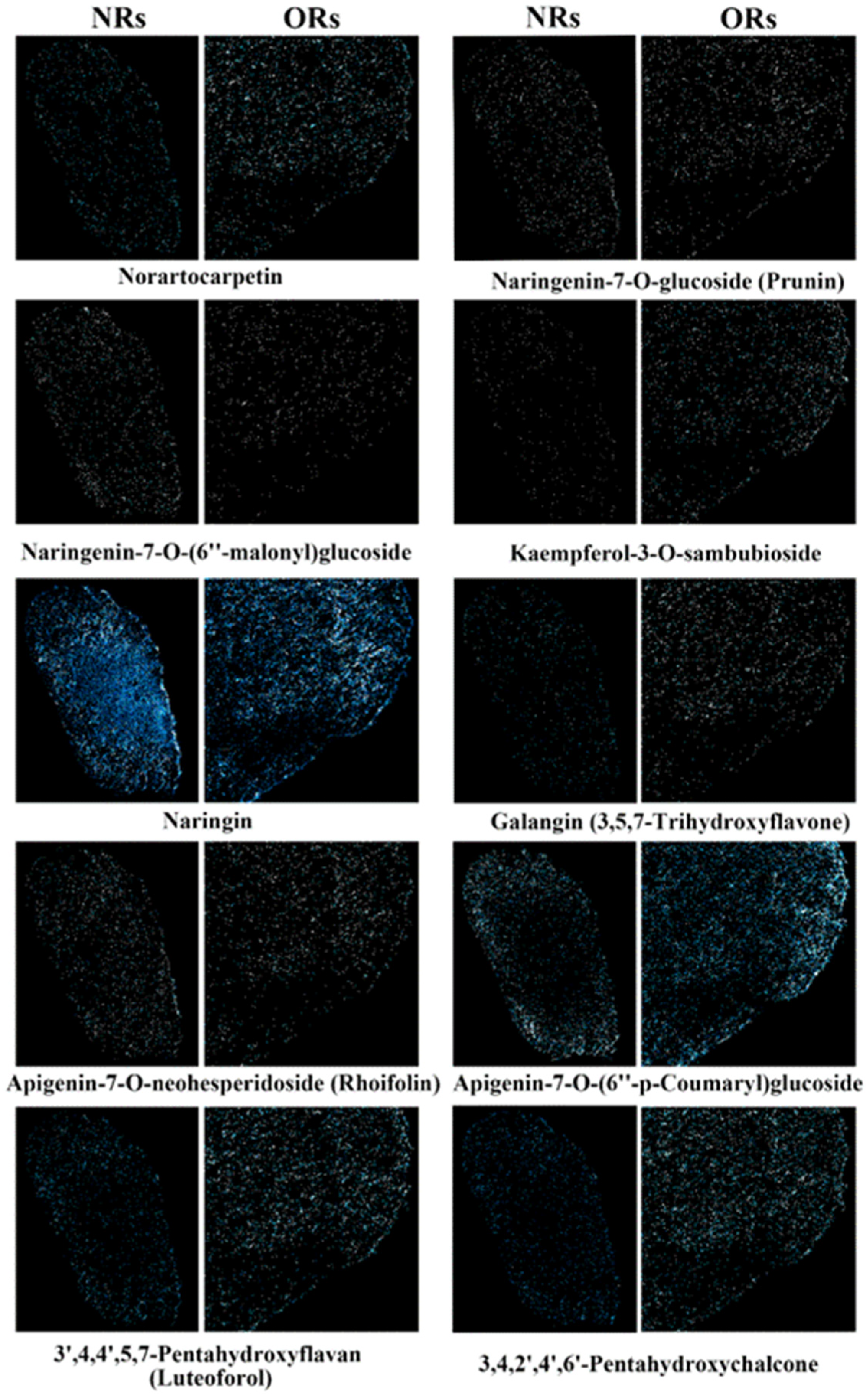 Metabolites 15 00805 g006