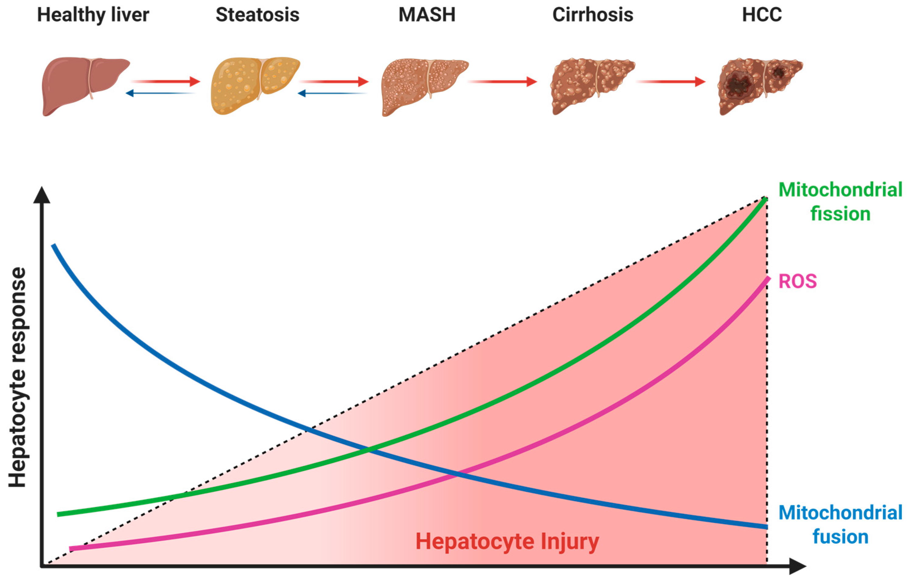 Metabolites 16 00011 g004