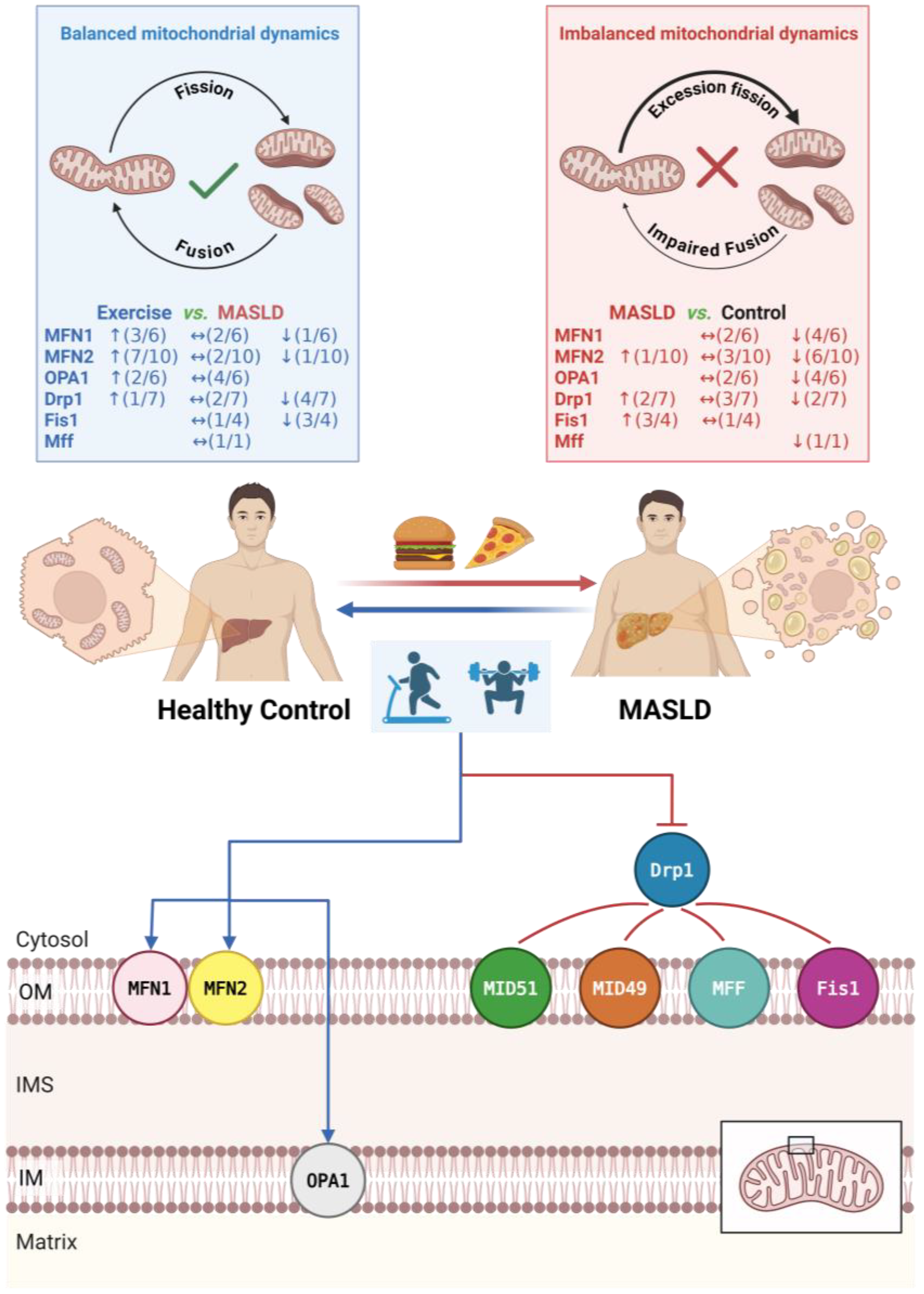 Metabolites 16 00011 g006