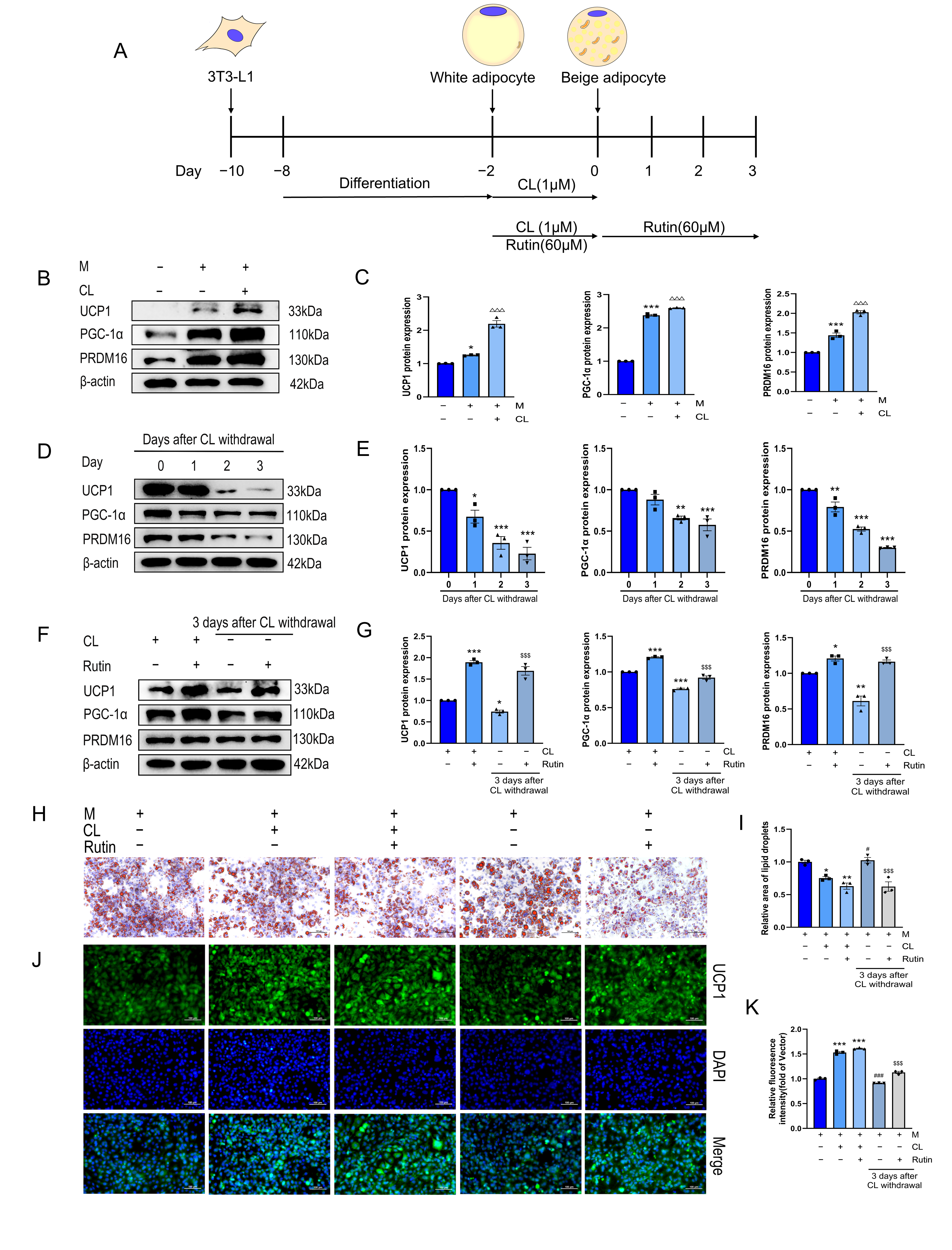 Metabolites 16 00012 g001