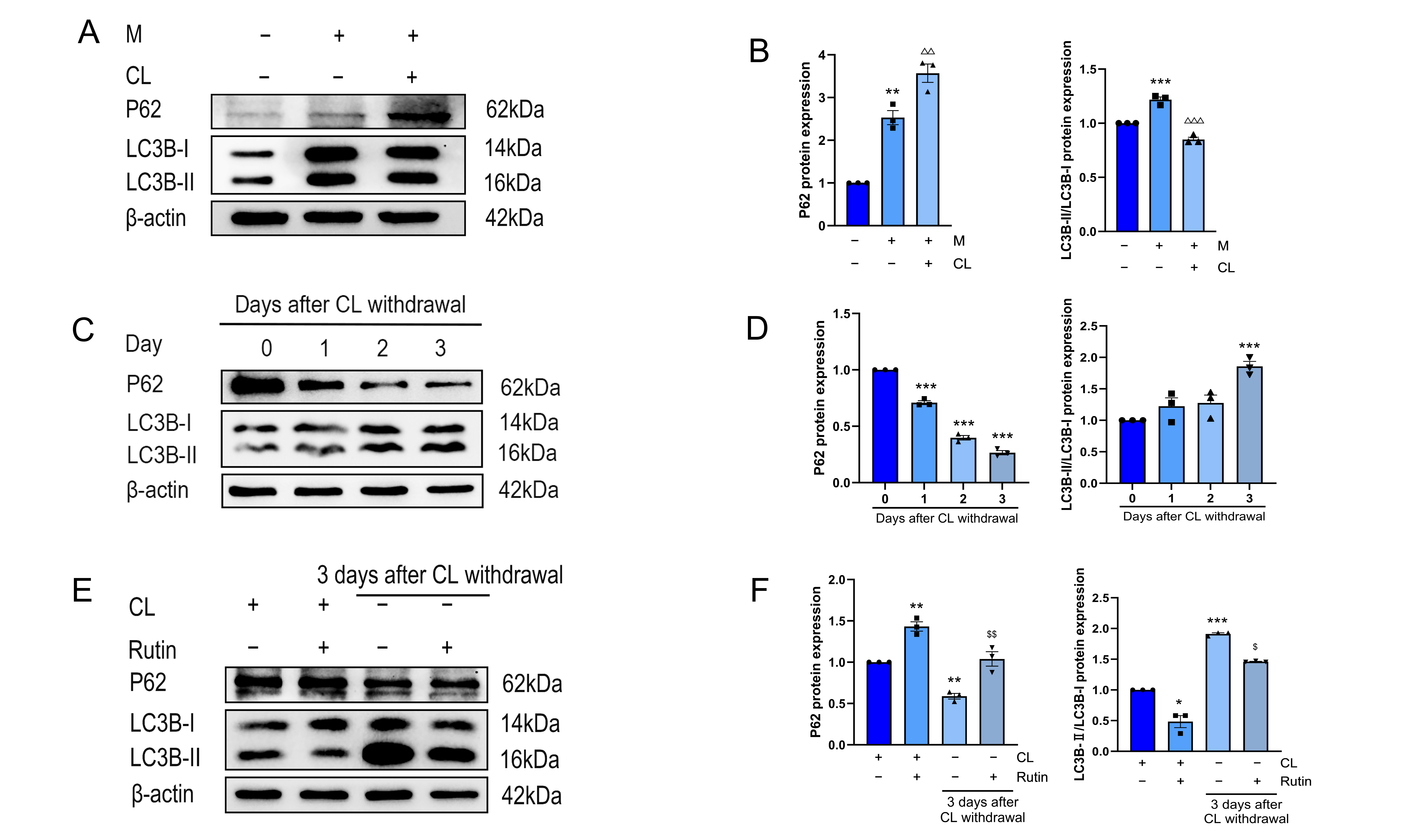 Metabolites 16 00012 g004