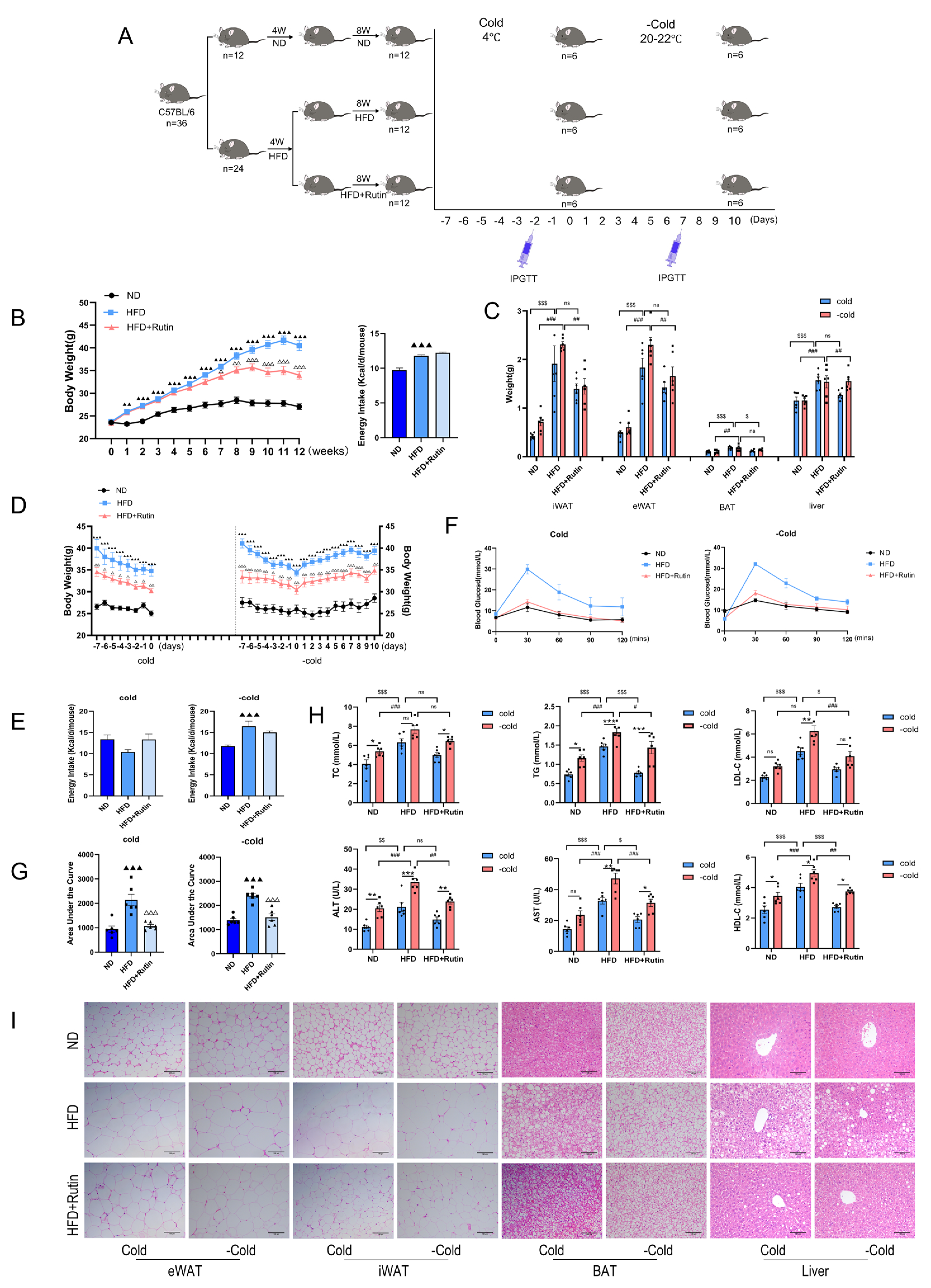 Metabolites 16 00012 g005