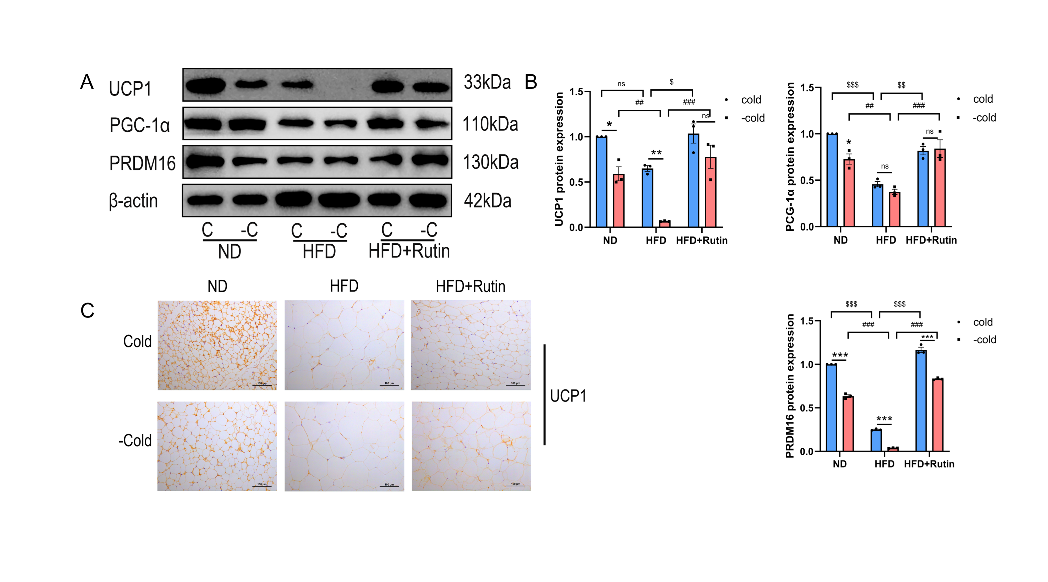 Metabolites 16 00012 g006