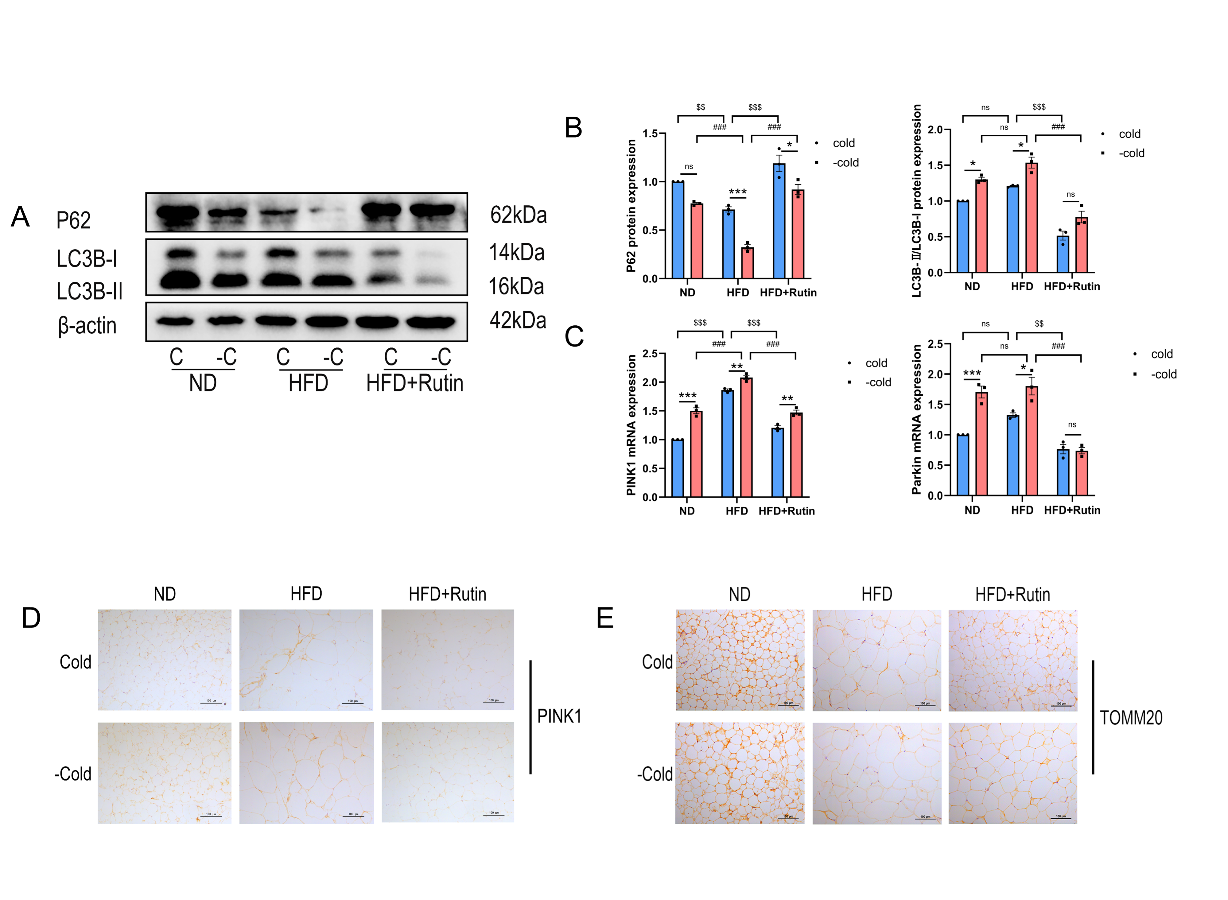 Metabolites 16 00012 g007
