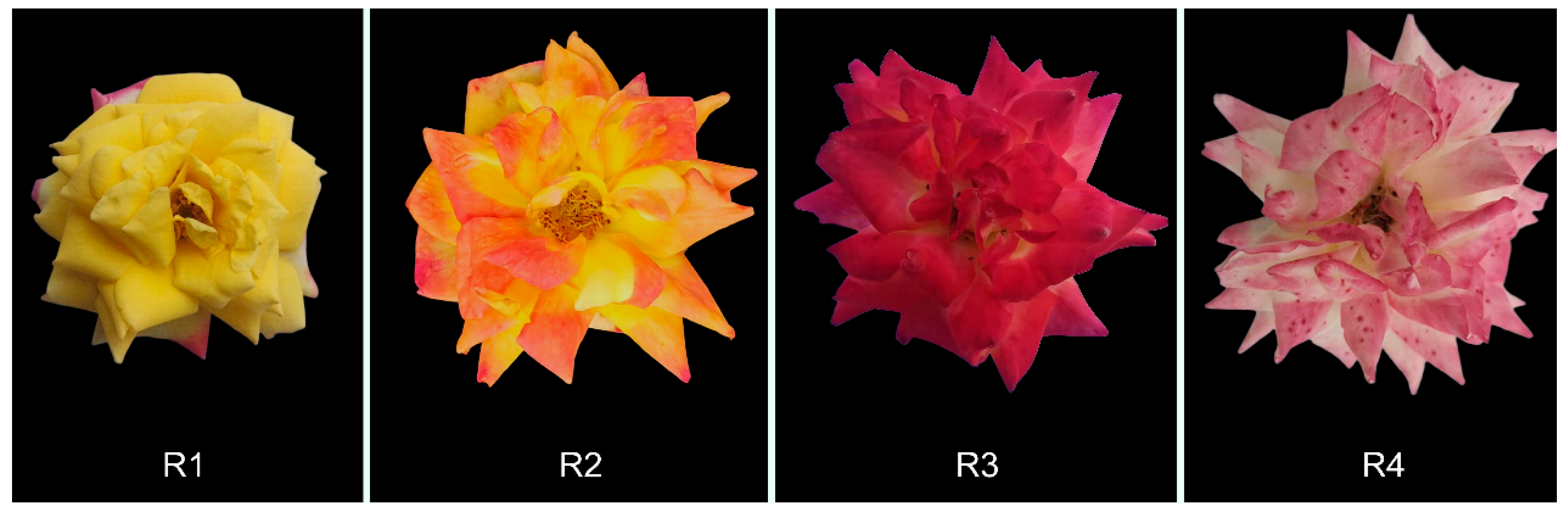 Metabolites 16 00032 g001