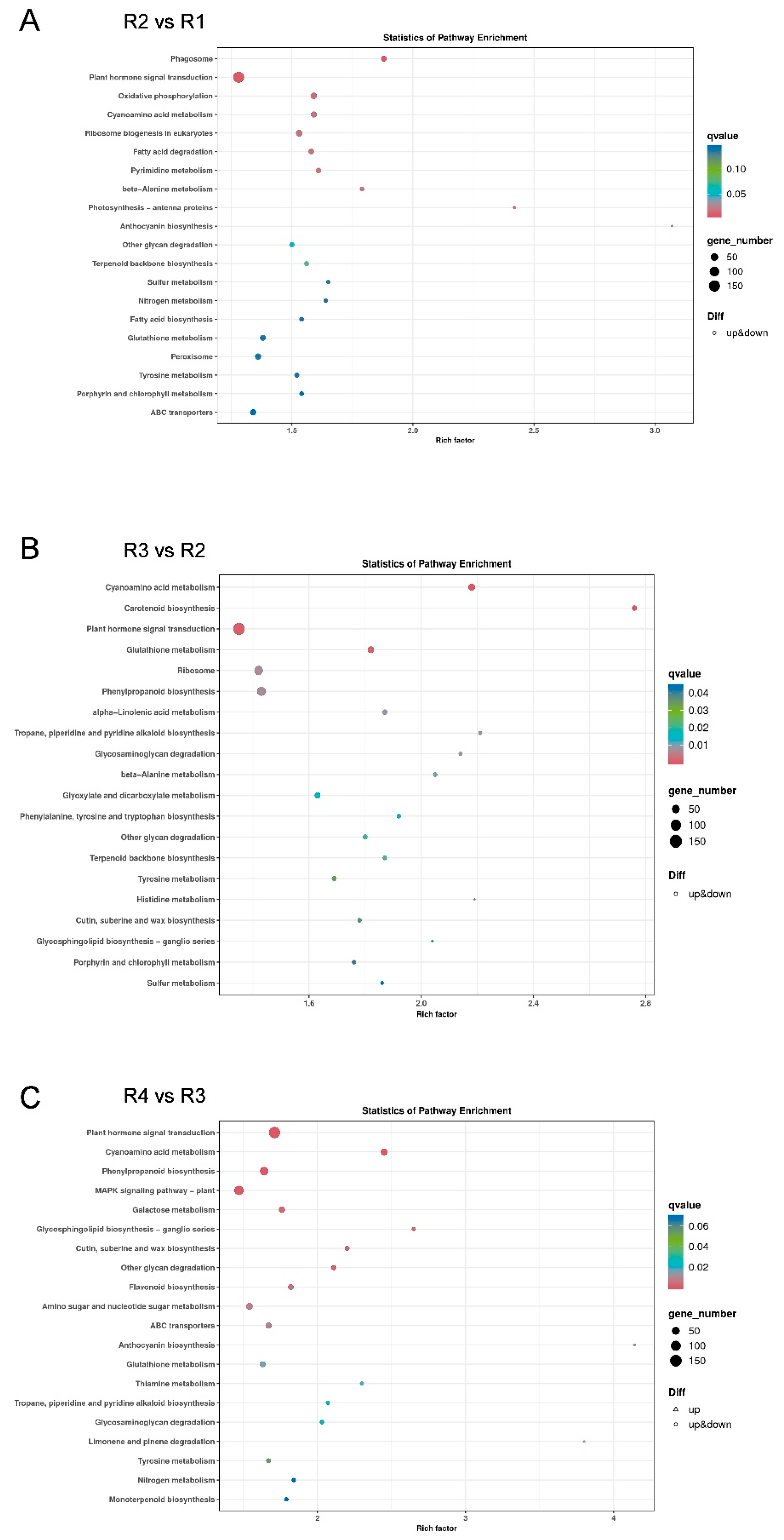 Metabolites 16 00032 g006