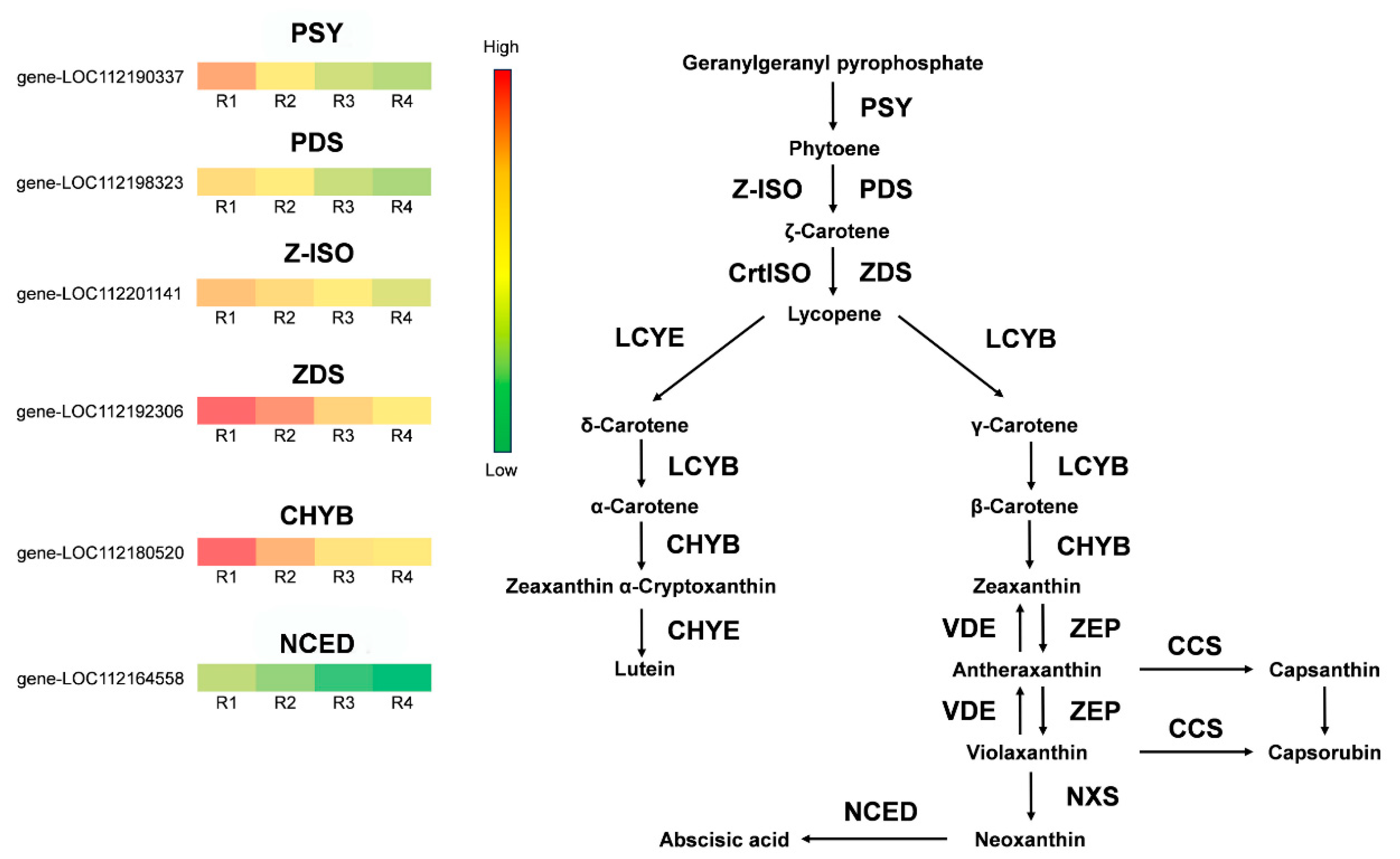 Metabolites 16 00032 g009