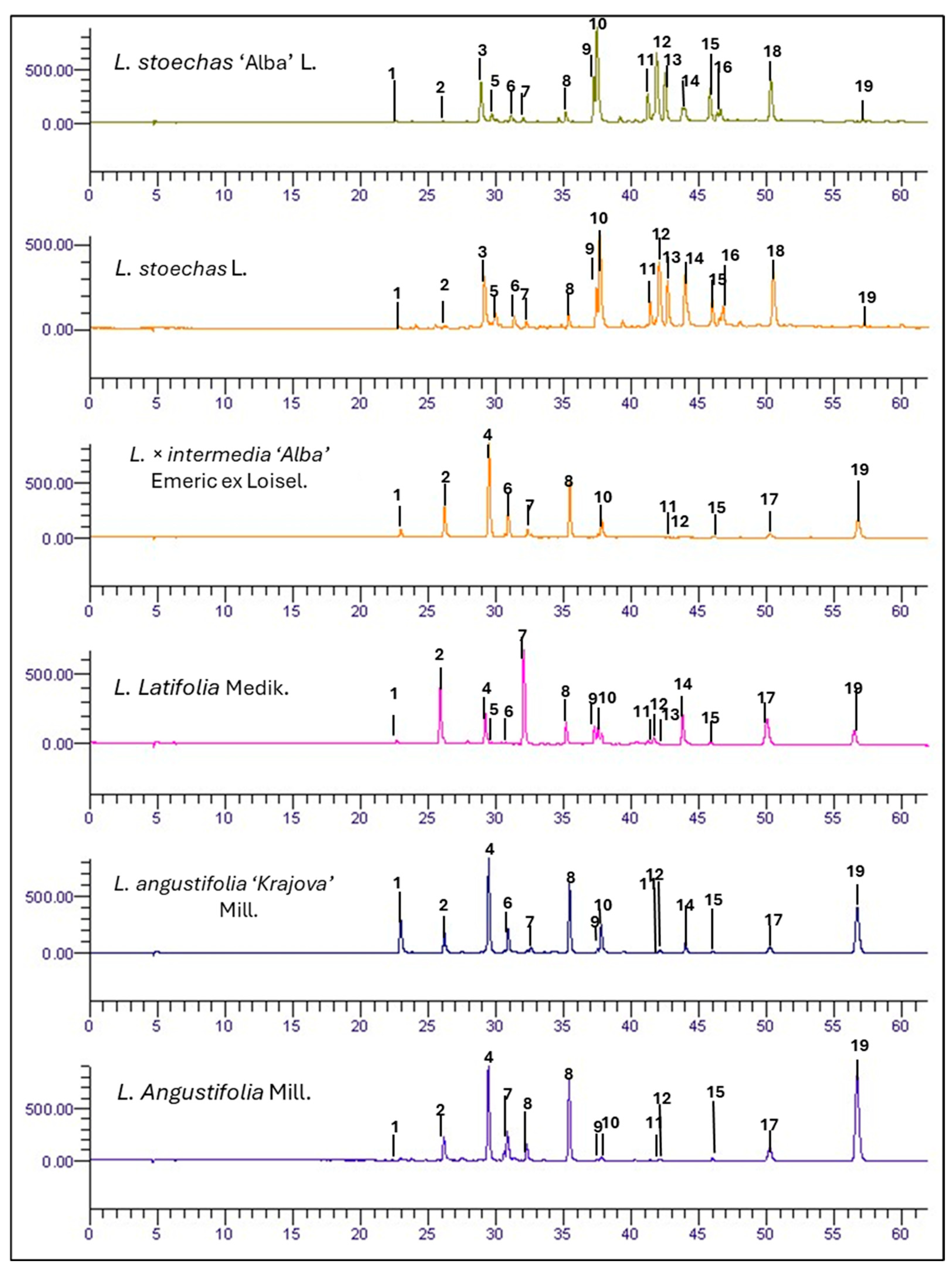 Metabolites 16 00034 g001