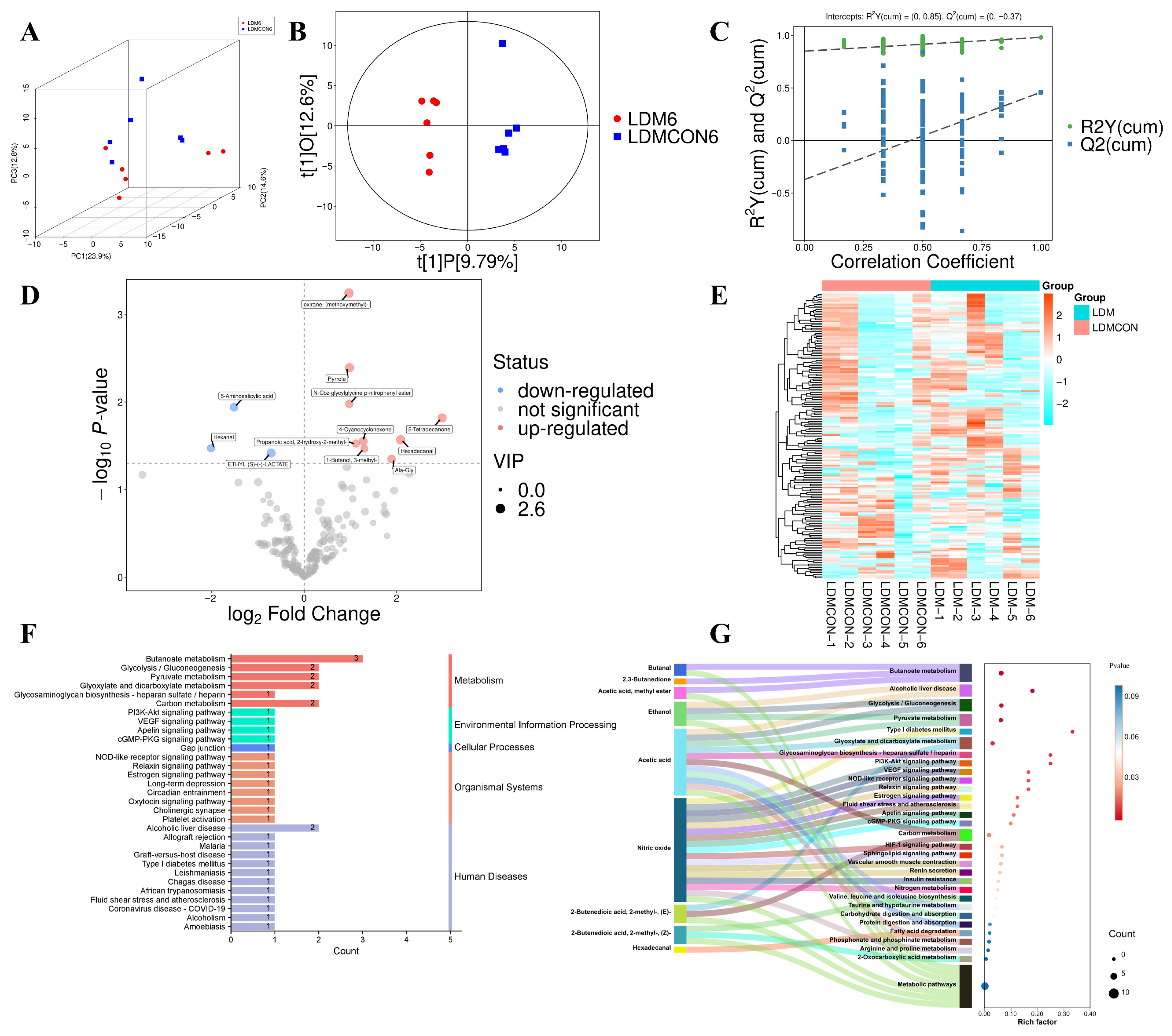 Metabolites 16 00039 g002