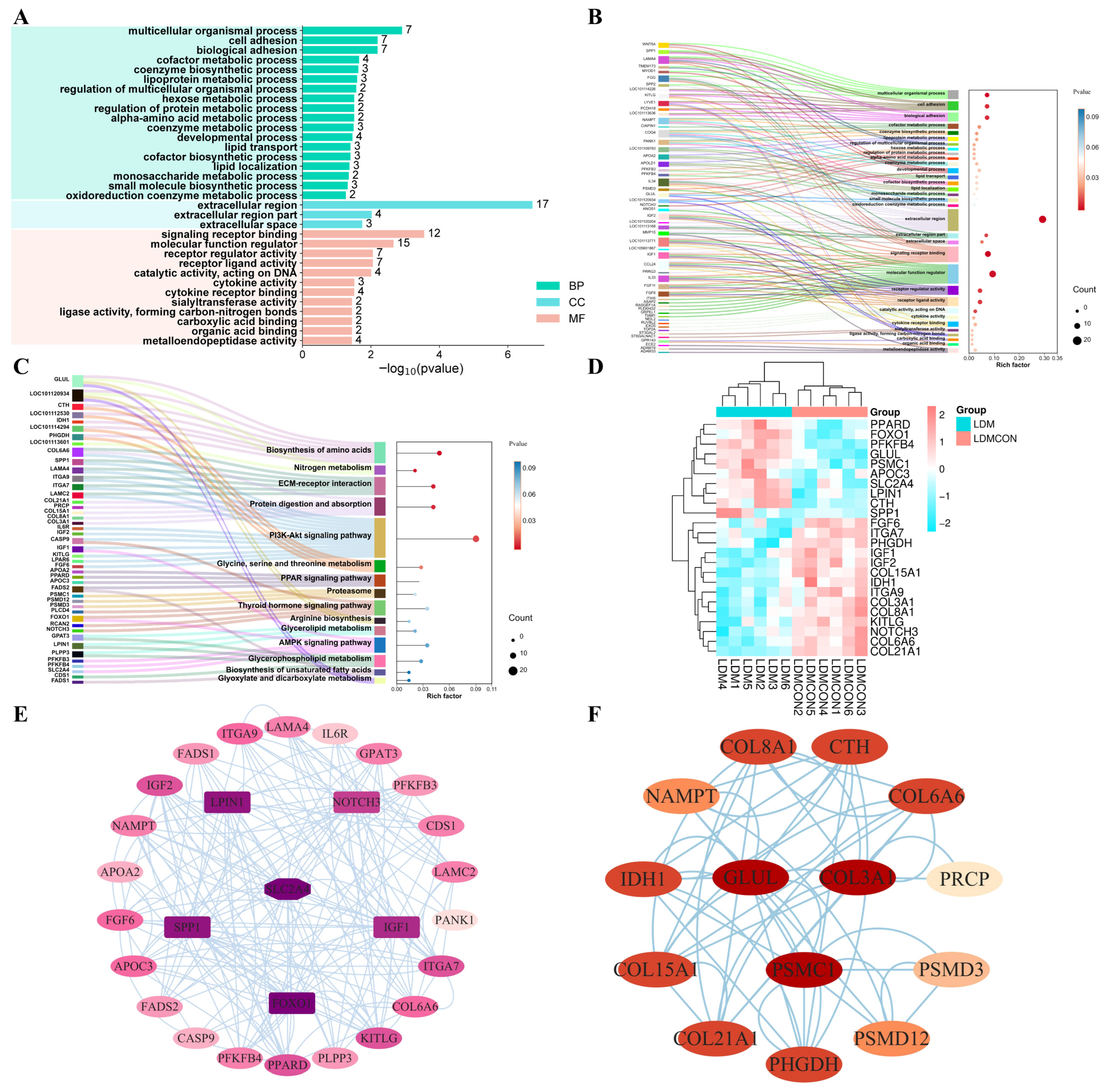 Metabolites 16 00039 g005