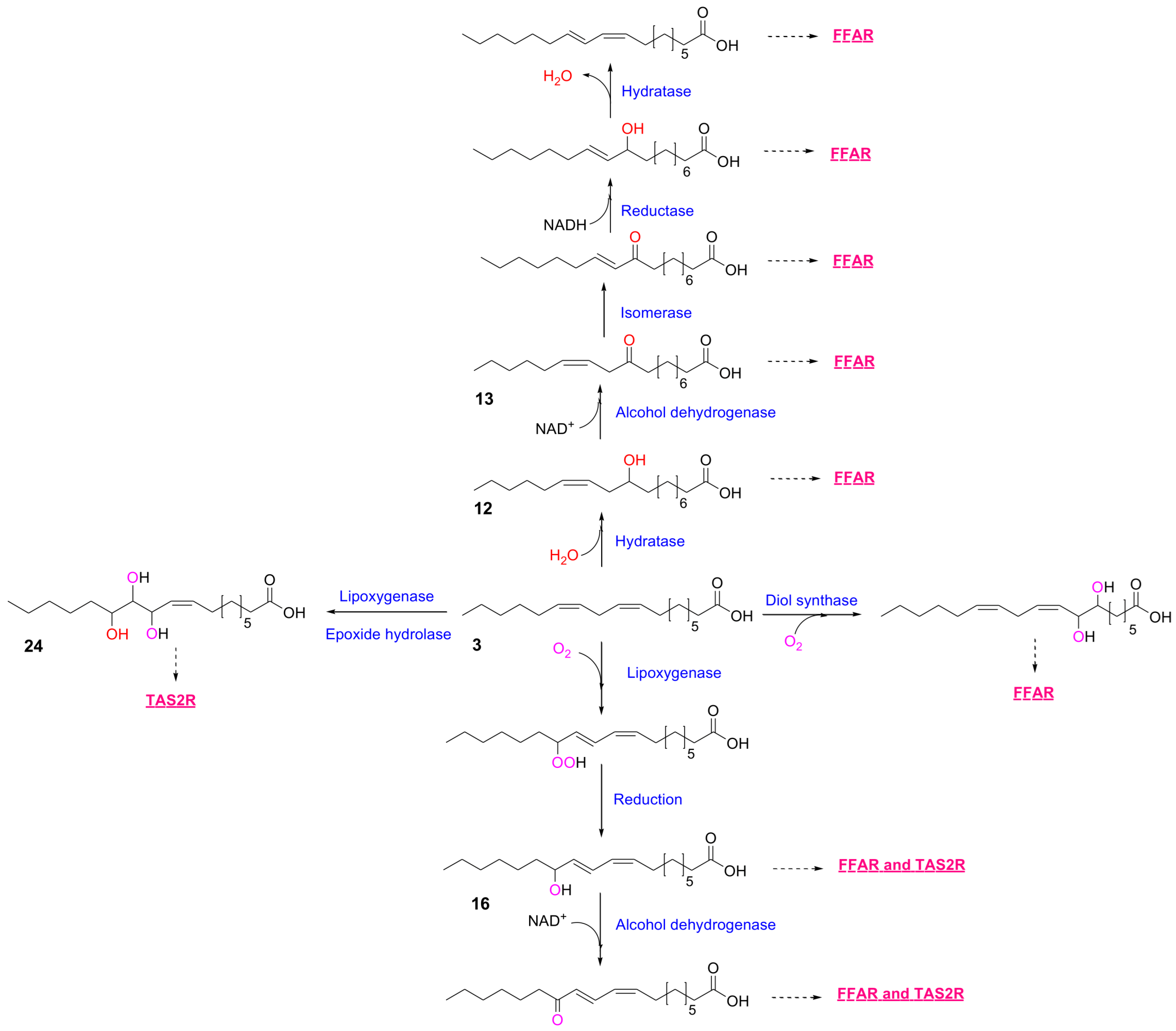 Metabolites 16 00045 g001 Metabolites 16 00045 g001