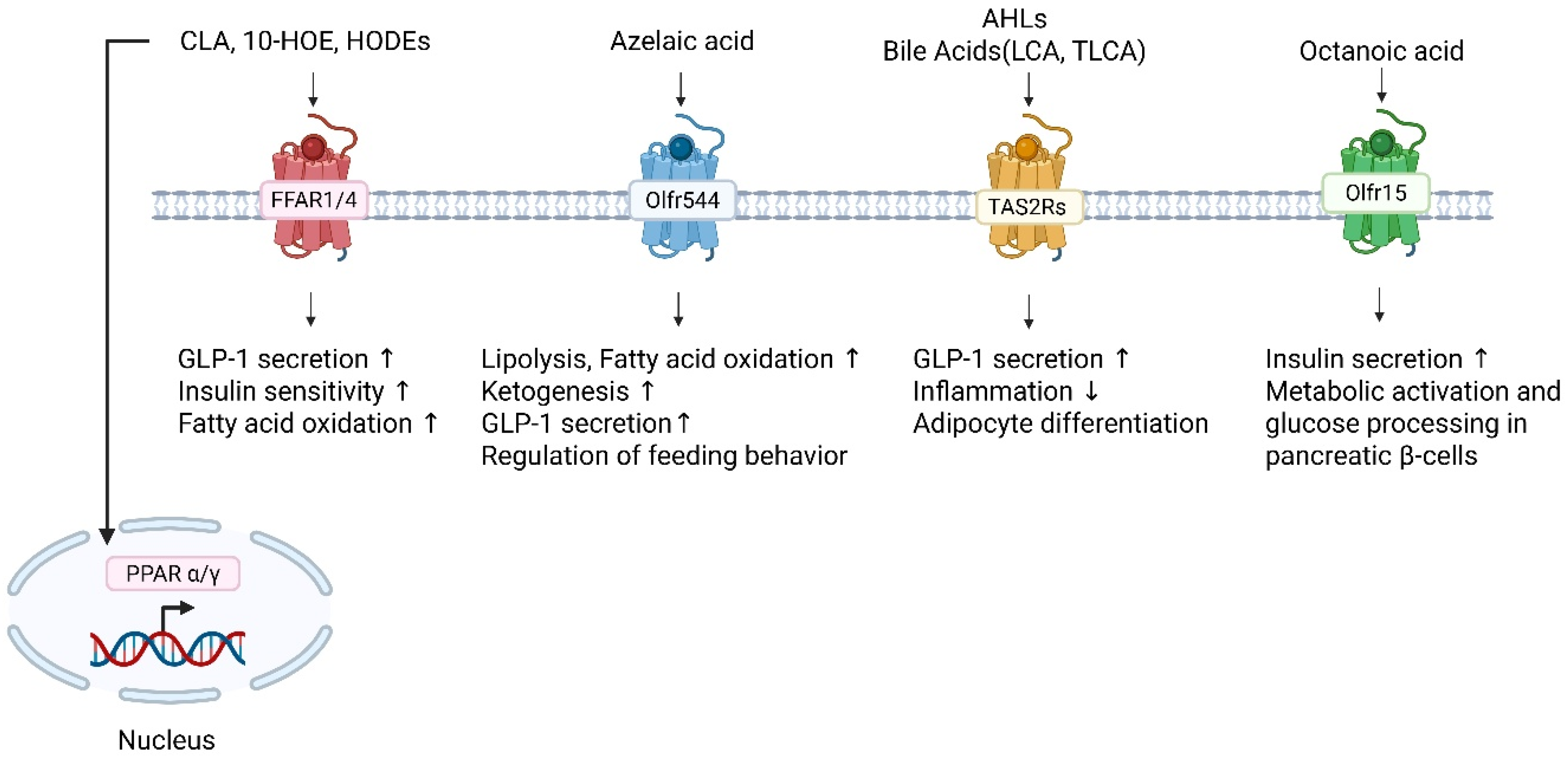 Metabolites 16 00045 g002 Metabolites 16 00045 g002