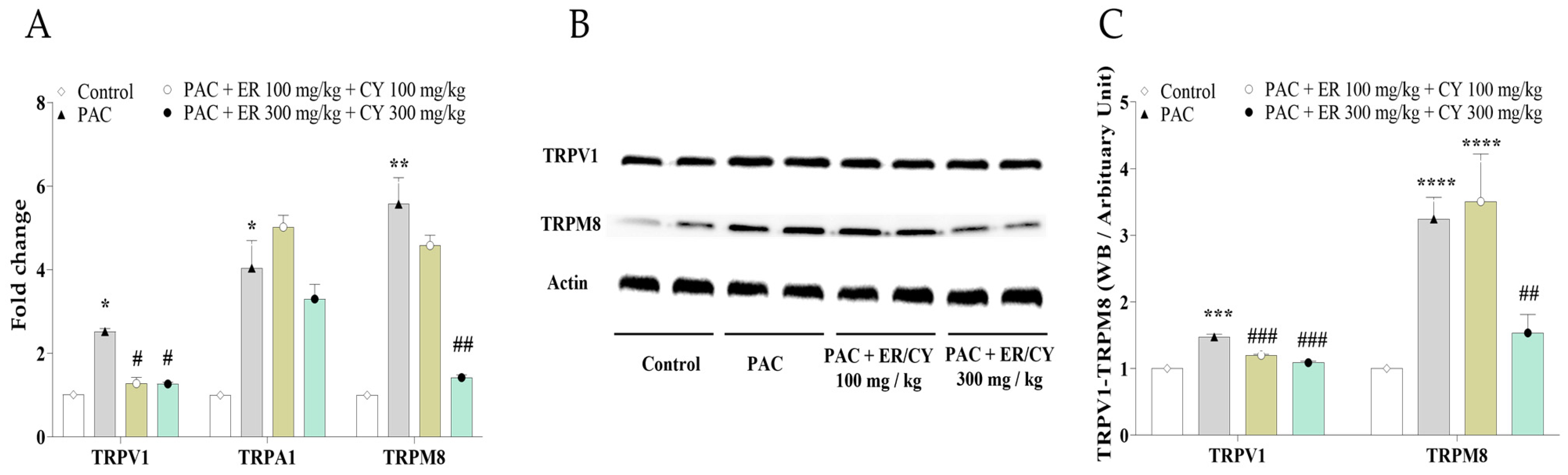 Metabolites 16 00046 g004 Metabolites 16 00046 g004