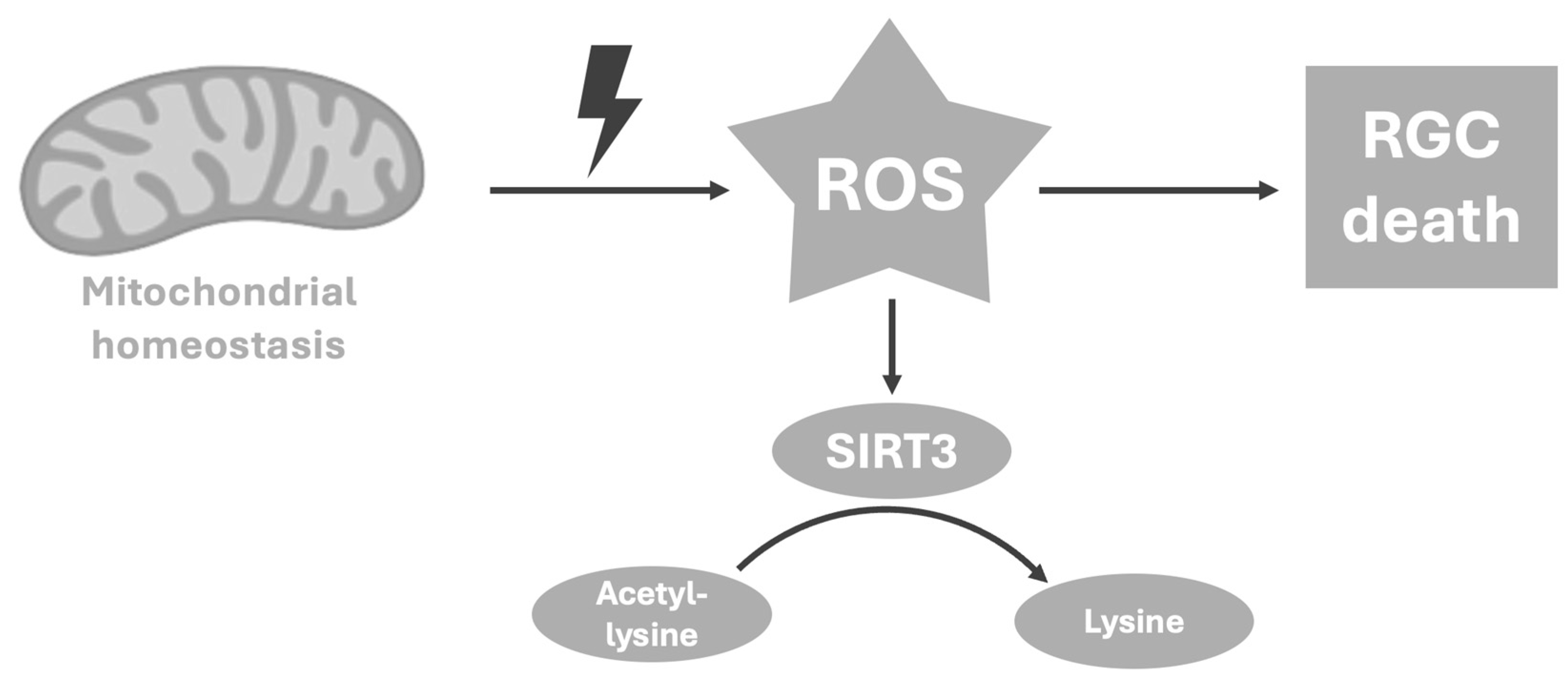 Metabolites 16 00100 g003