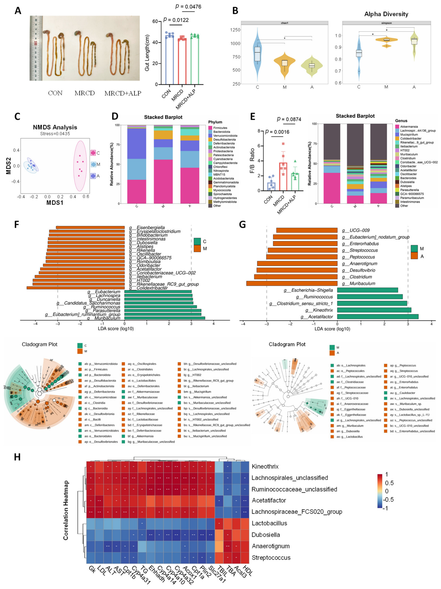 Metabolites 16 00532 g005