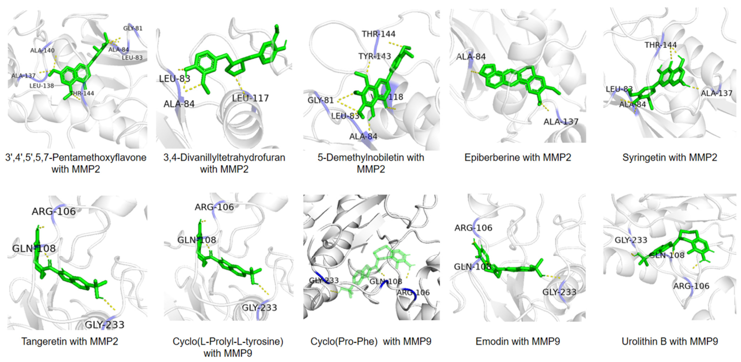 Metabolites 16 00669 g007 Metabolites 16 00669 g007