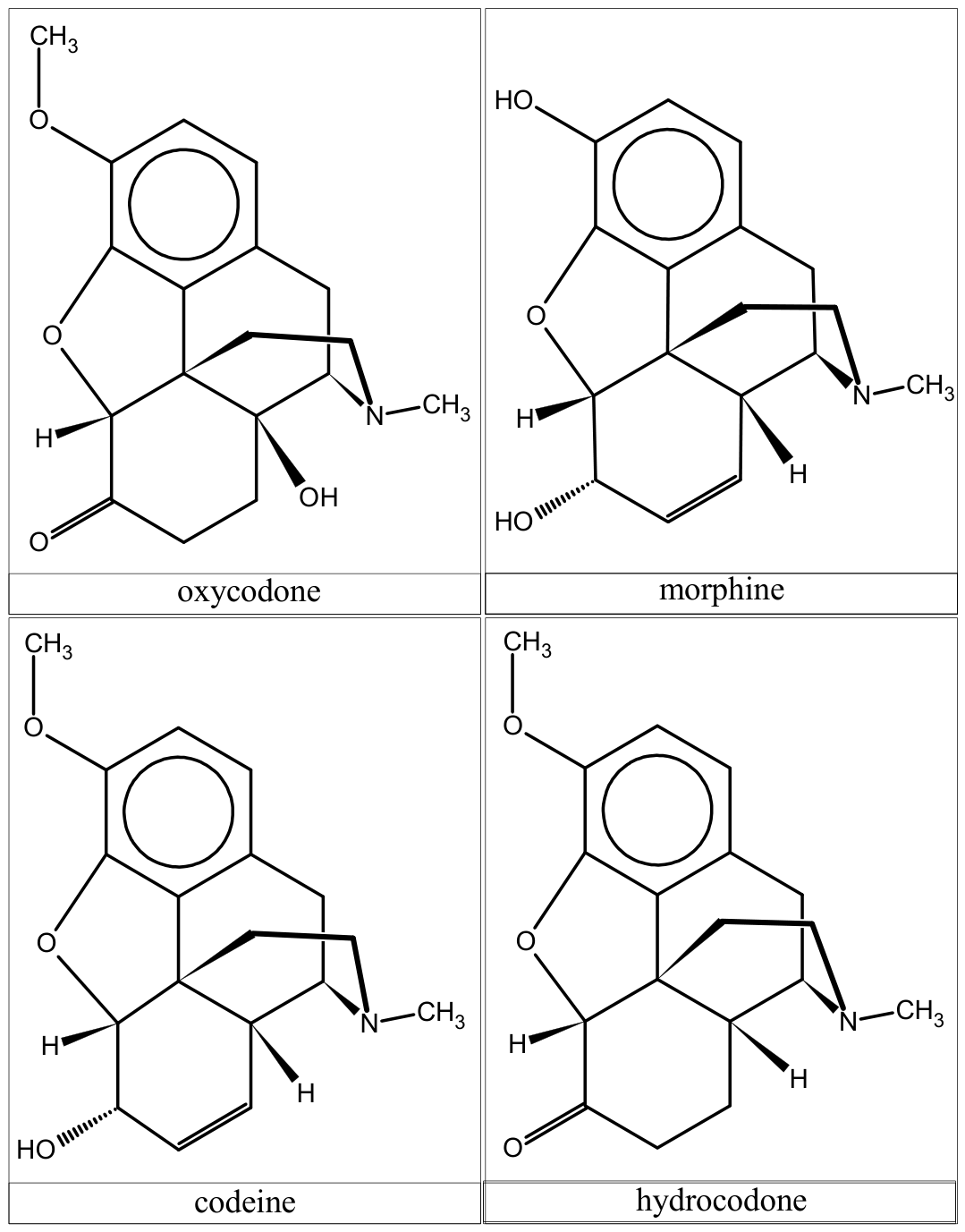 Oxycodone at the Crossroads of Pain Management, Misuse, and