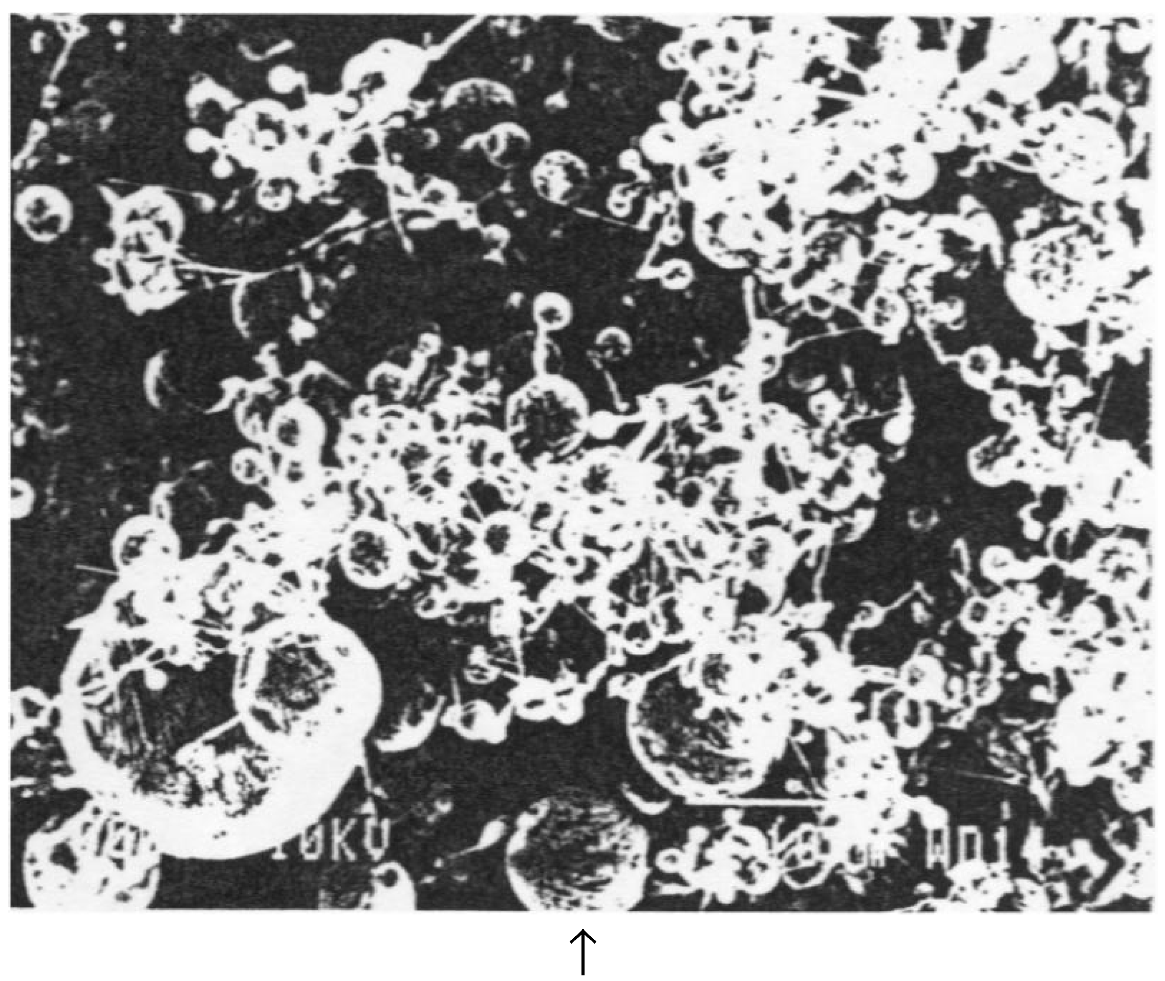 Metals 03 00312 g003