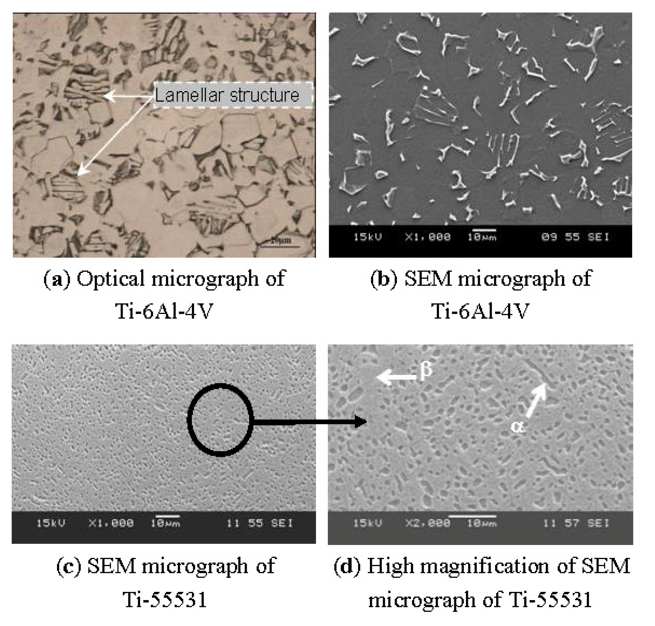 Metals | Free Full-Text | On the Physics of Machining Titanium Alloys ...